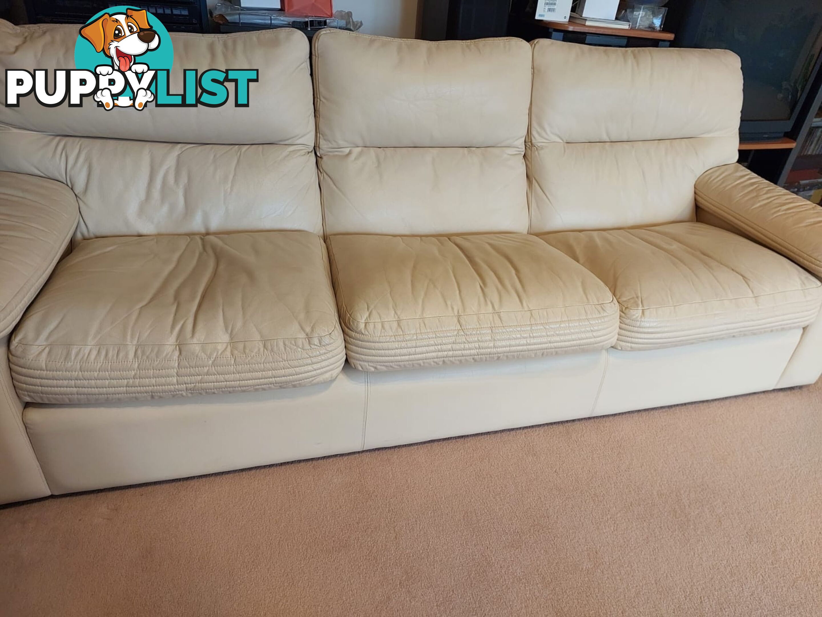 Genuine leather Sofa Set (5 seats)