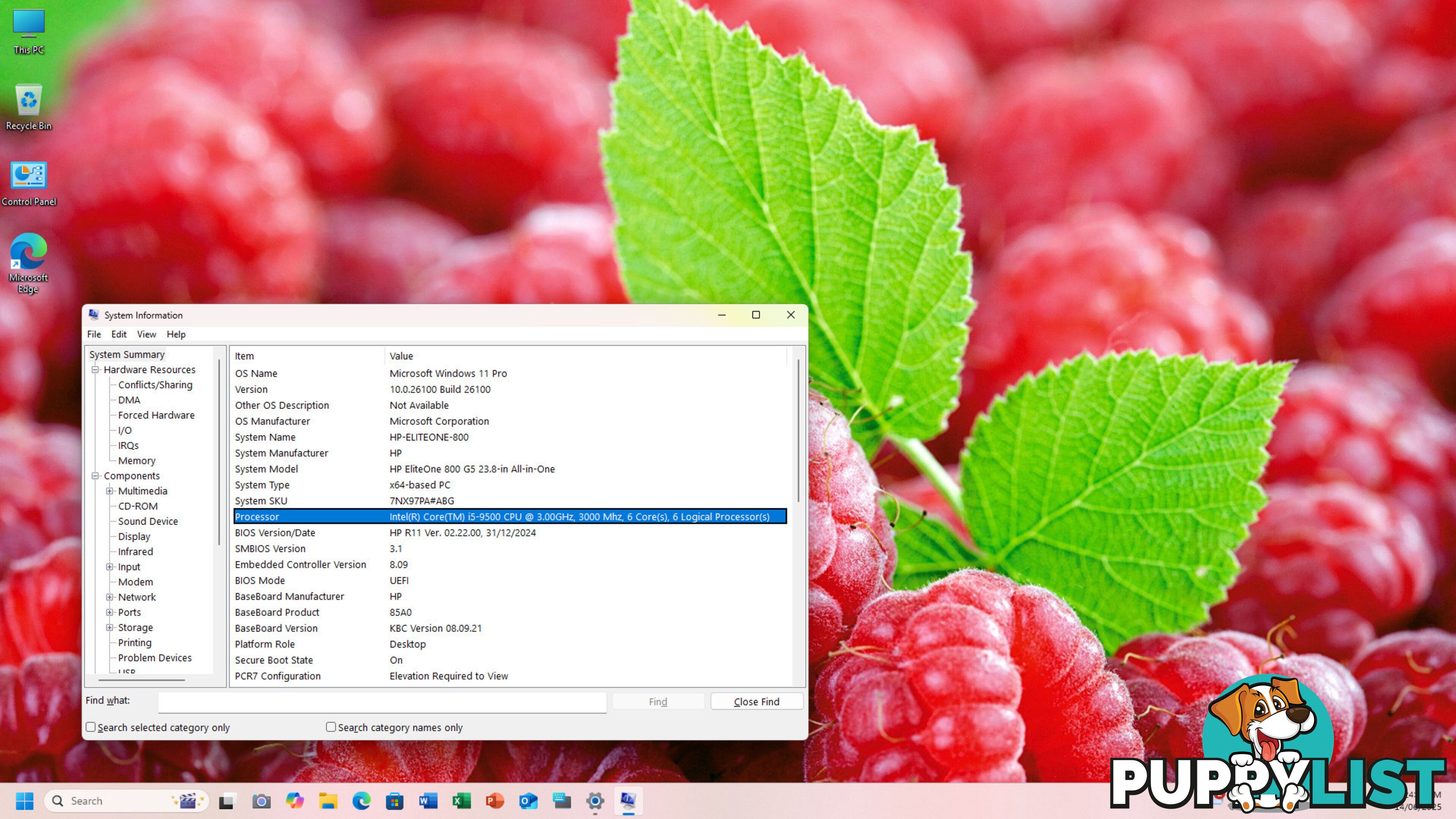 HP EliteOne 800 G5 AiO-Core i5-9th Gen/16GB RAM/256GB SSD/23.8 inch