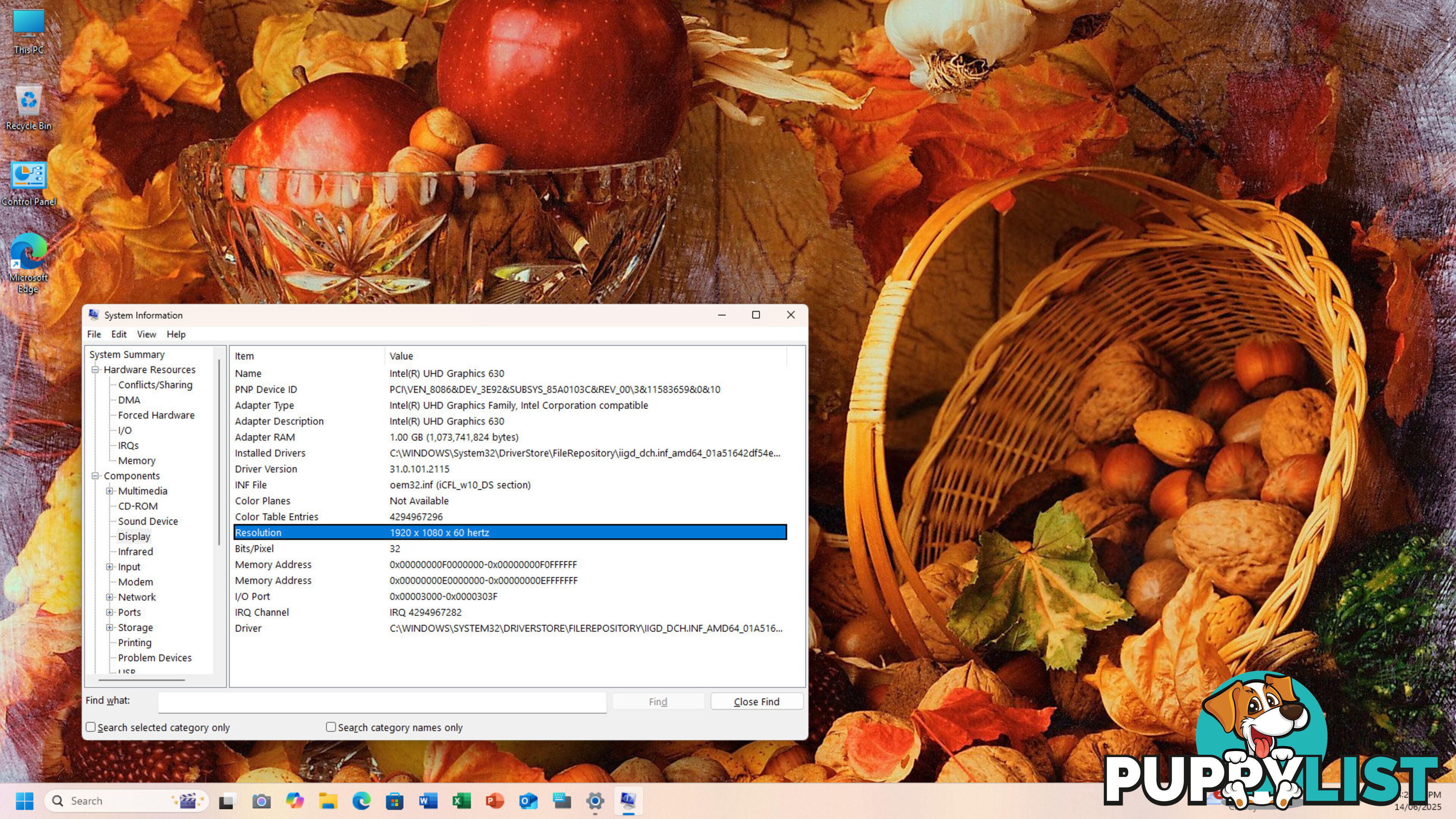 HP EliteOne 800 G5 AiO-Core i5-9th Gen/16GB RAM/256GB SSD/23.8 inch