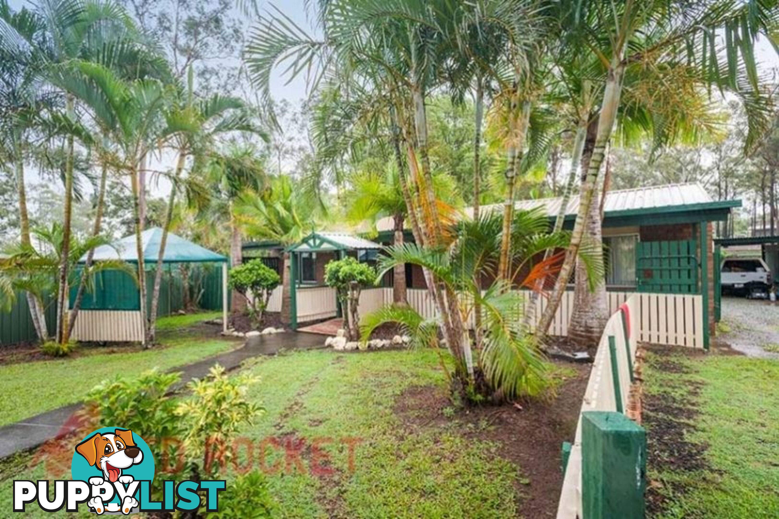 55 Anchusa Street KINGSTON QLD 4114