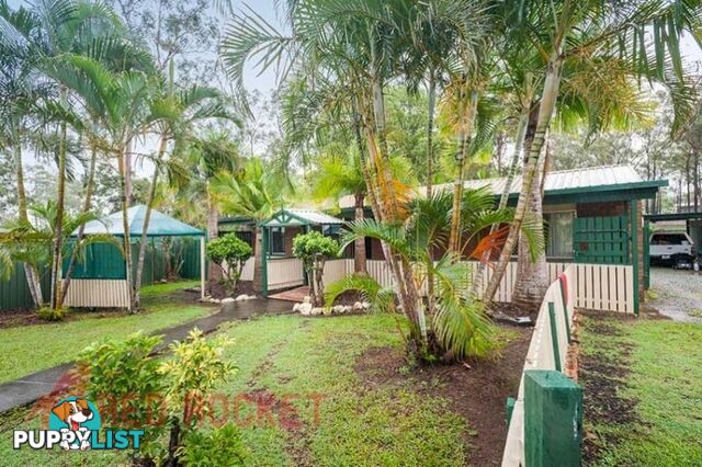 55 Anchusa Street KINGSTON QLD 4114