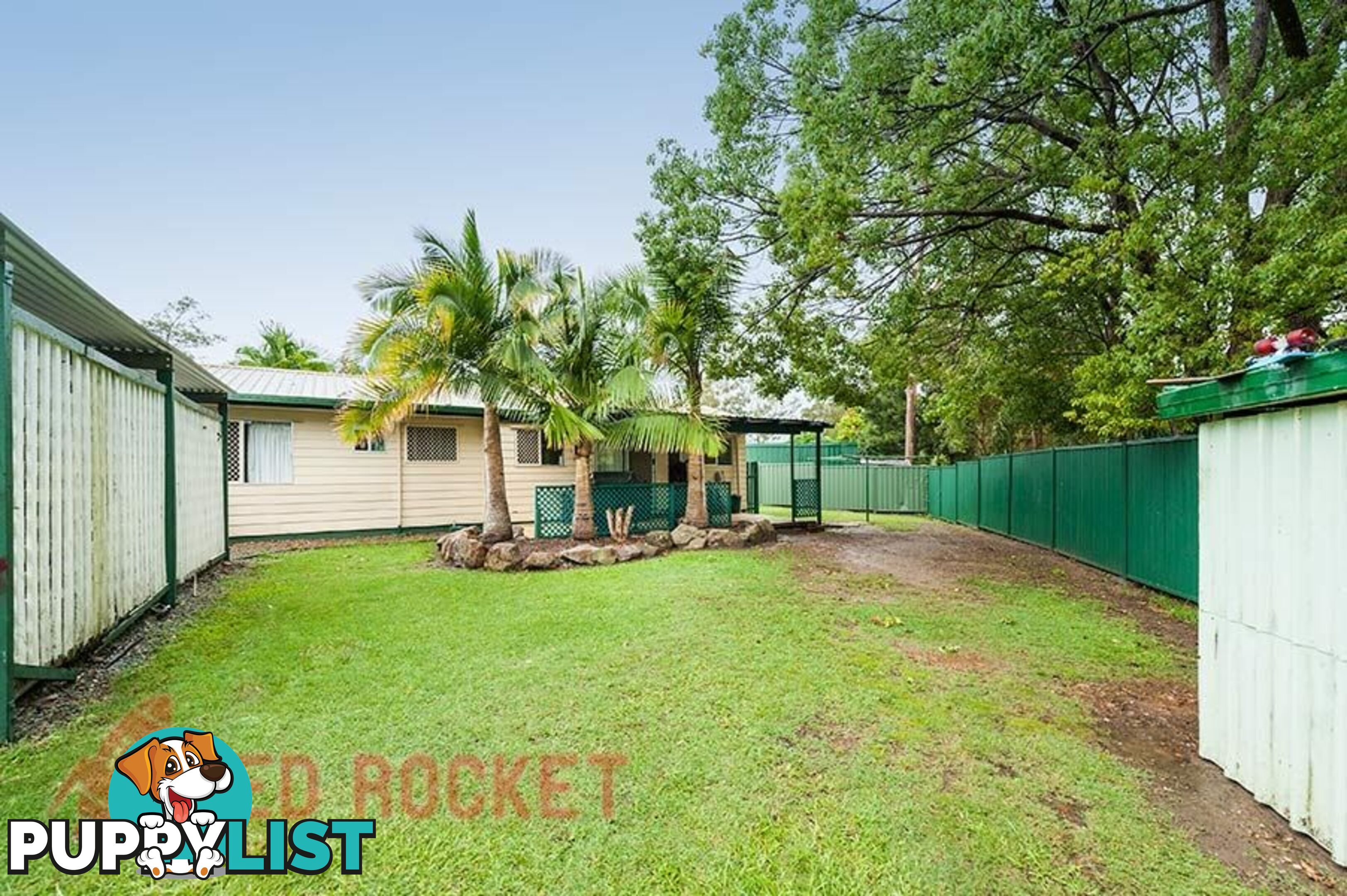 55 Anchusa Street KINGSTON QLD 4114