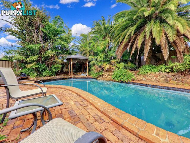 11 Wendy Court Rochedale South QLD 4123