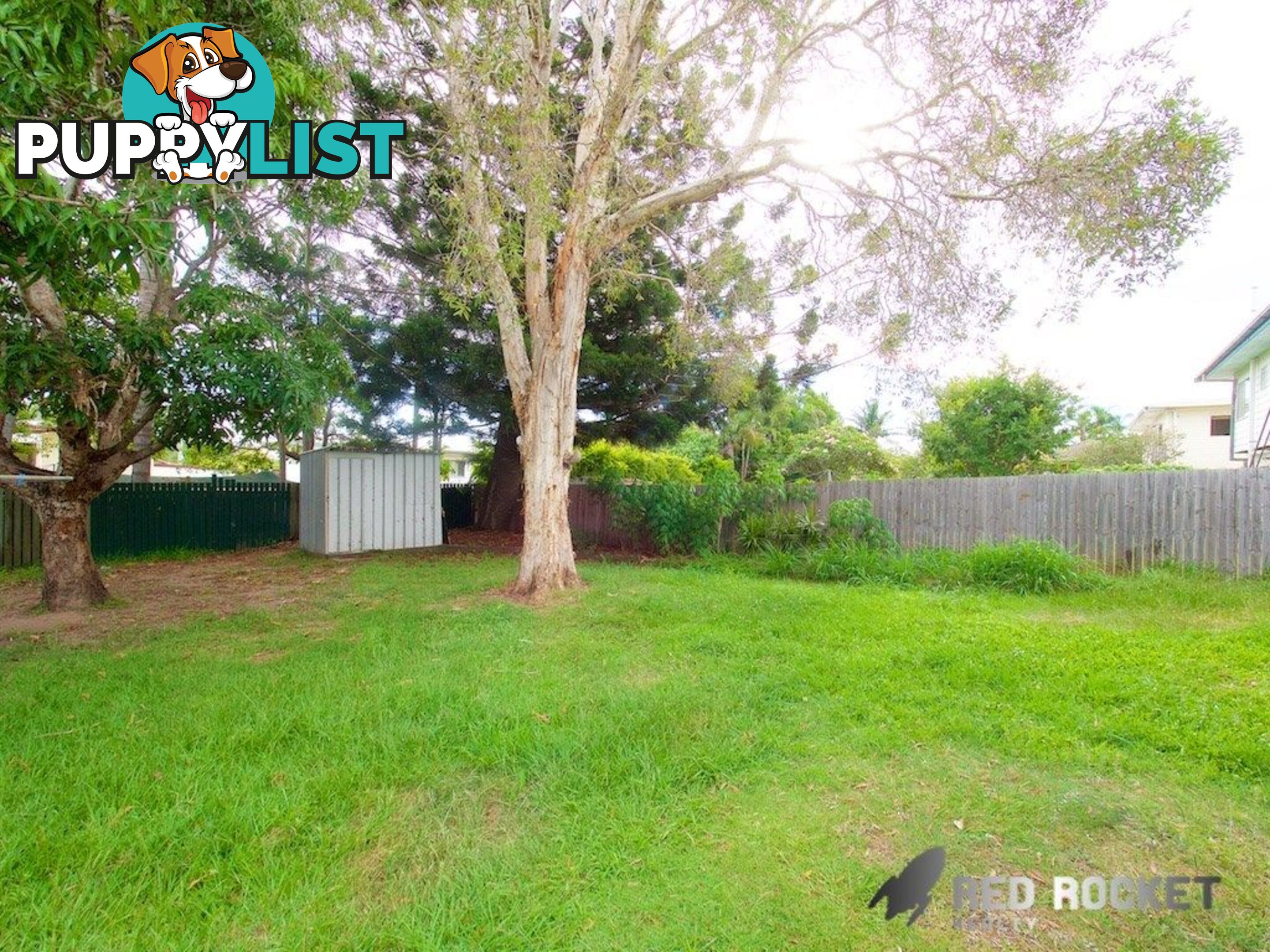 4 Ash Avenue Woodridge QLD 4114