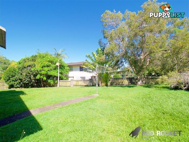 19 Lorimer Street Springwood QLD 4127