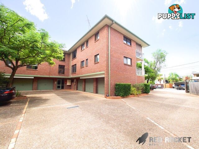 3 15 Leicester Street Coorparoo QLD 4151