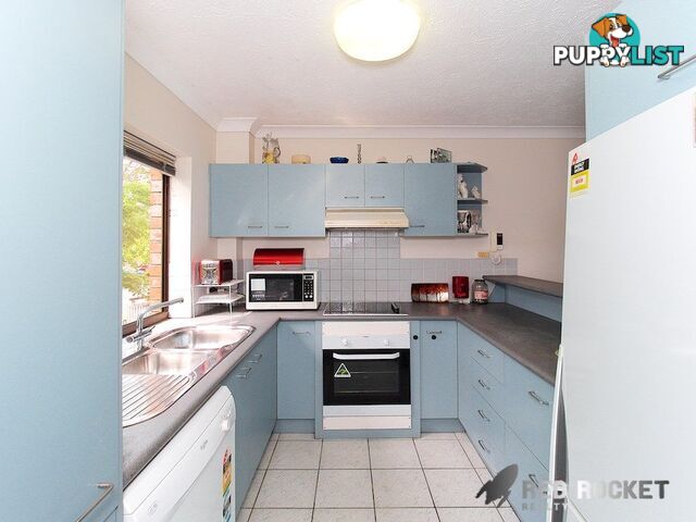 3 15 Leicester Street Coorparoo QLD 4151