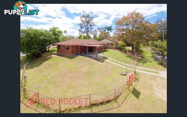 1 Gloxinia Street KINGSTON QLD 4114