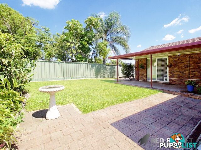 3 Evita ct Daisy Hill QLD 4127