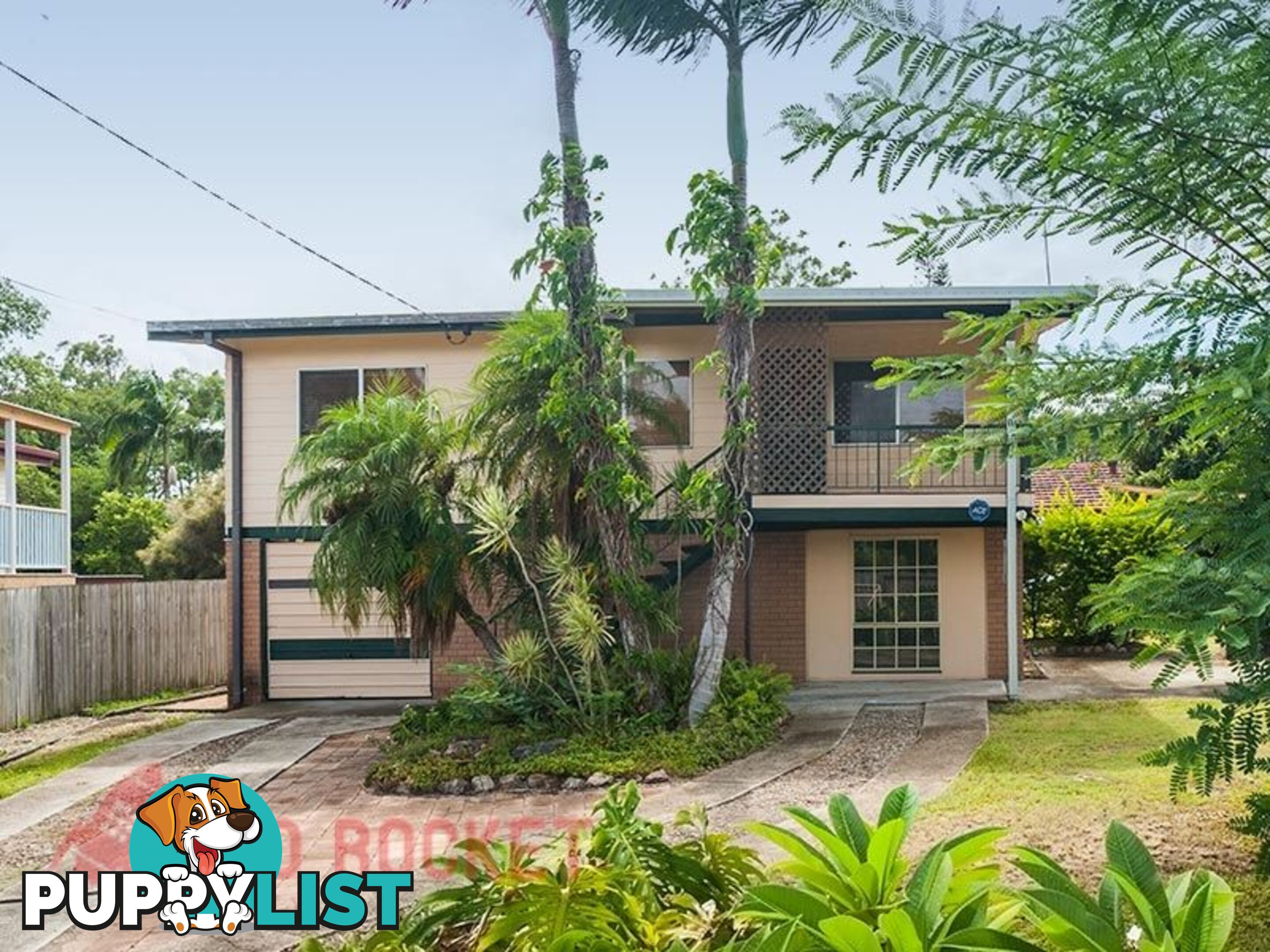 38 Lyngrove Street KINGSTON QLD 4114