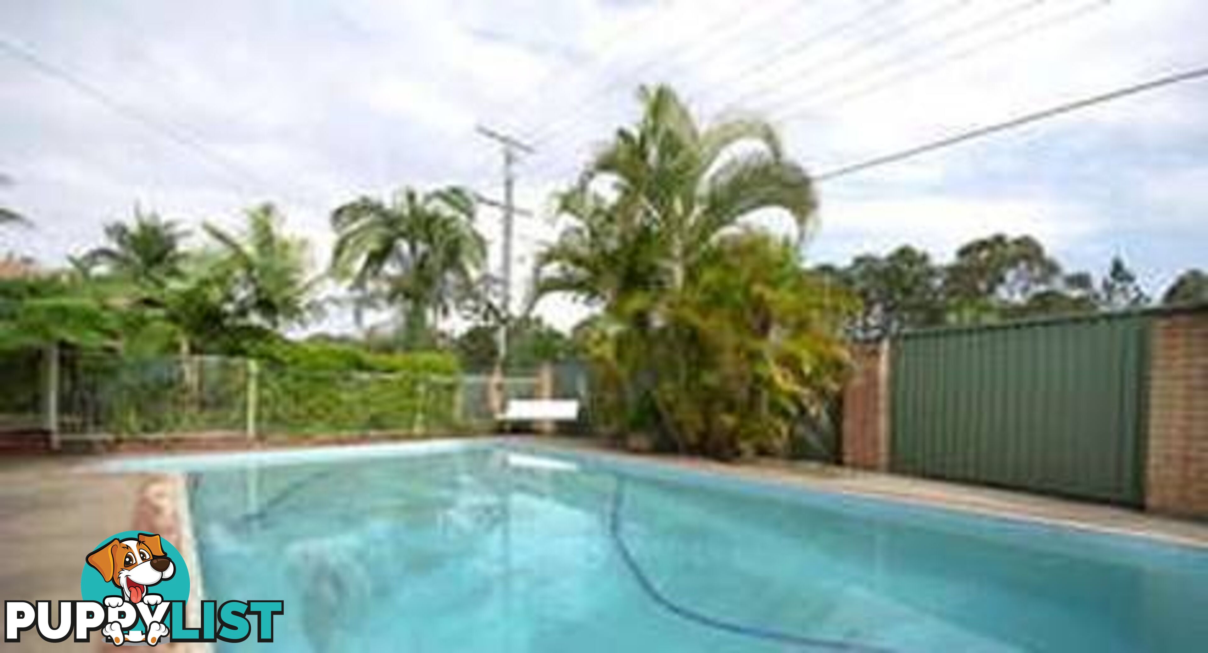 40 Lenore Crescent SPRINGWOOD QLD 4127