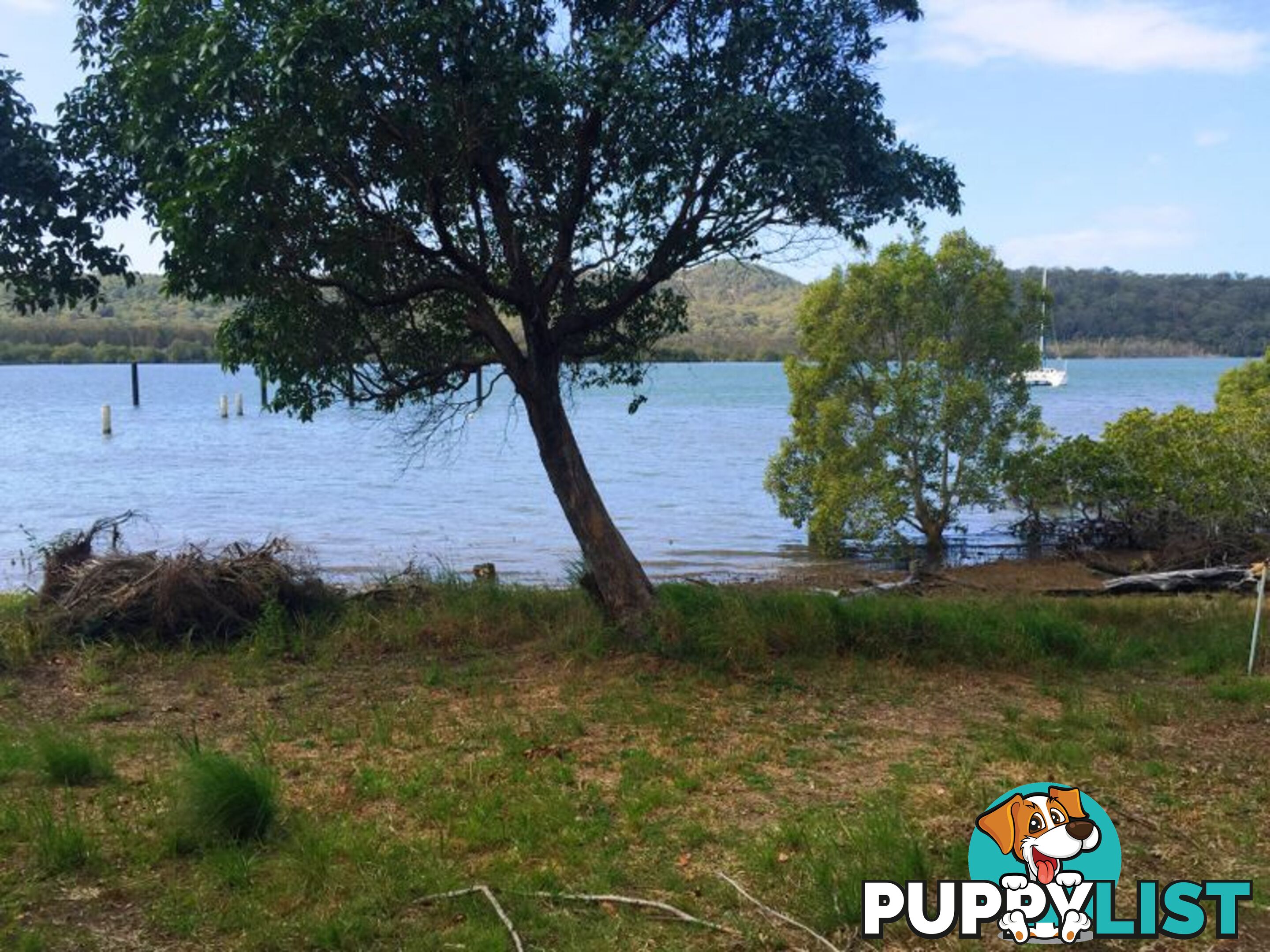 103 Wahine Dve, RUSSELL ISLAND QLD 4184