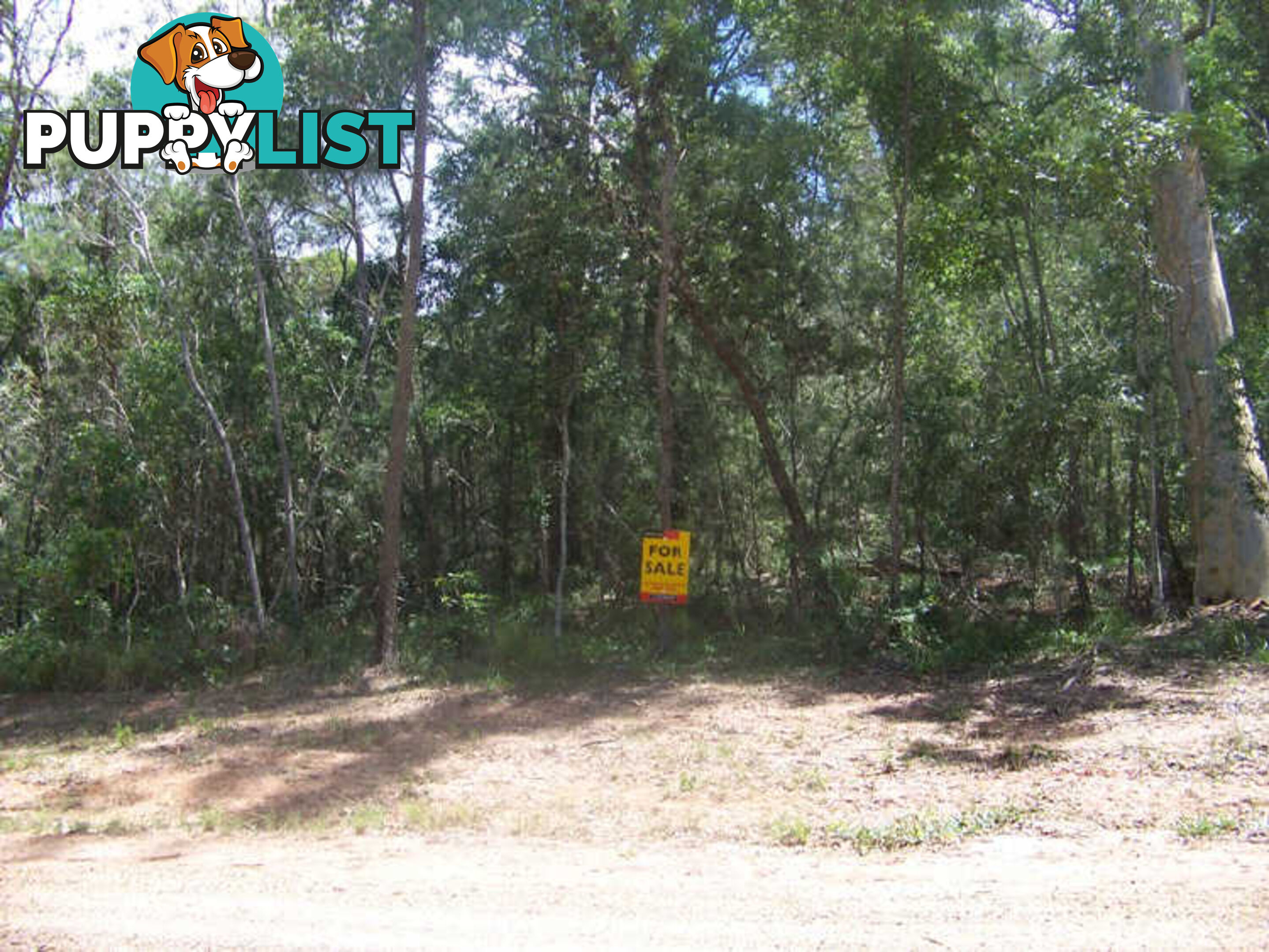 53 Cunningham Ave RUSSELL ISLAND QLD 4184