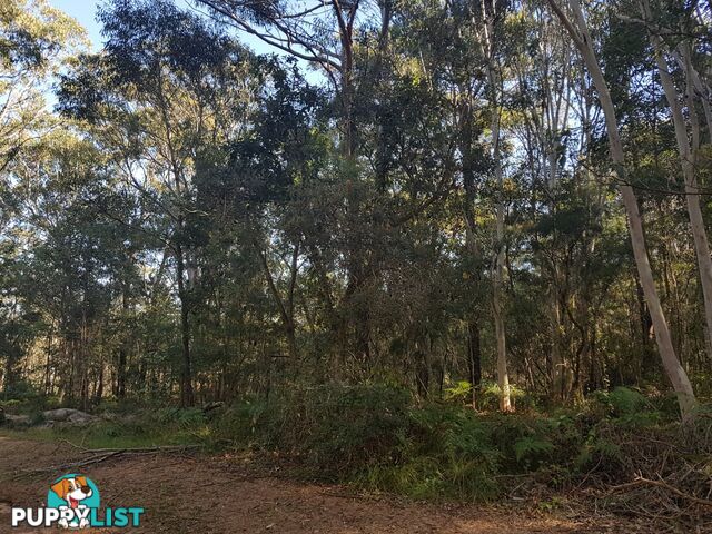43 Forest Hill RUSSELL ISLAND QLD 4184