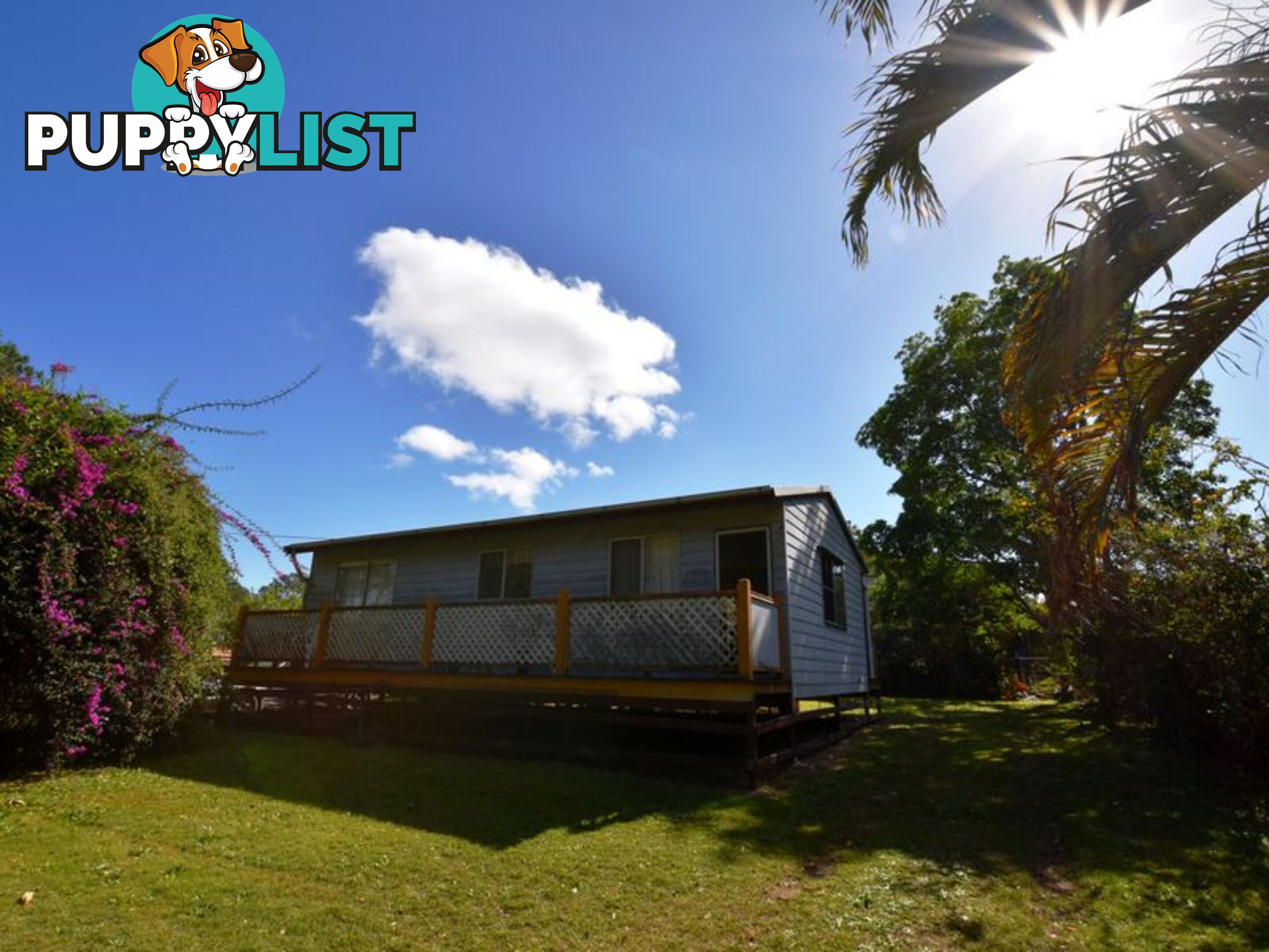 11 Callistemon RUSSELL ISLAND QLD 4184