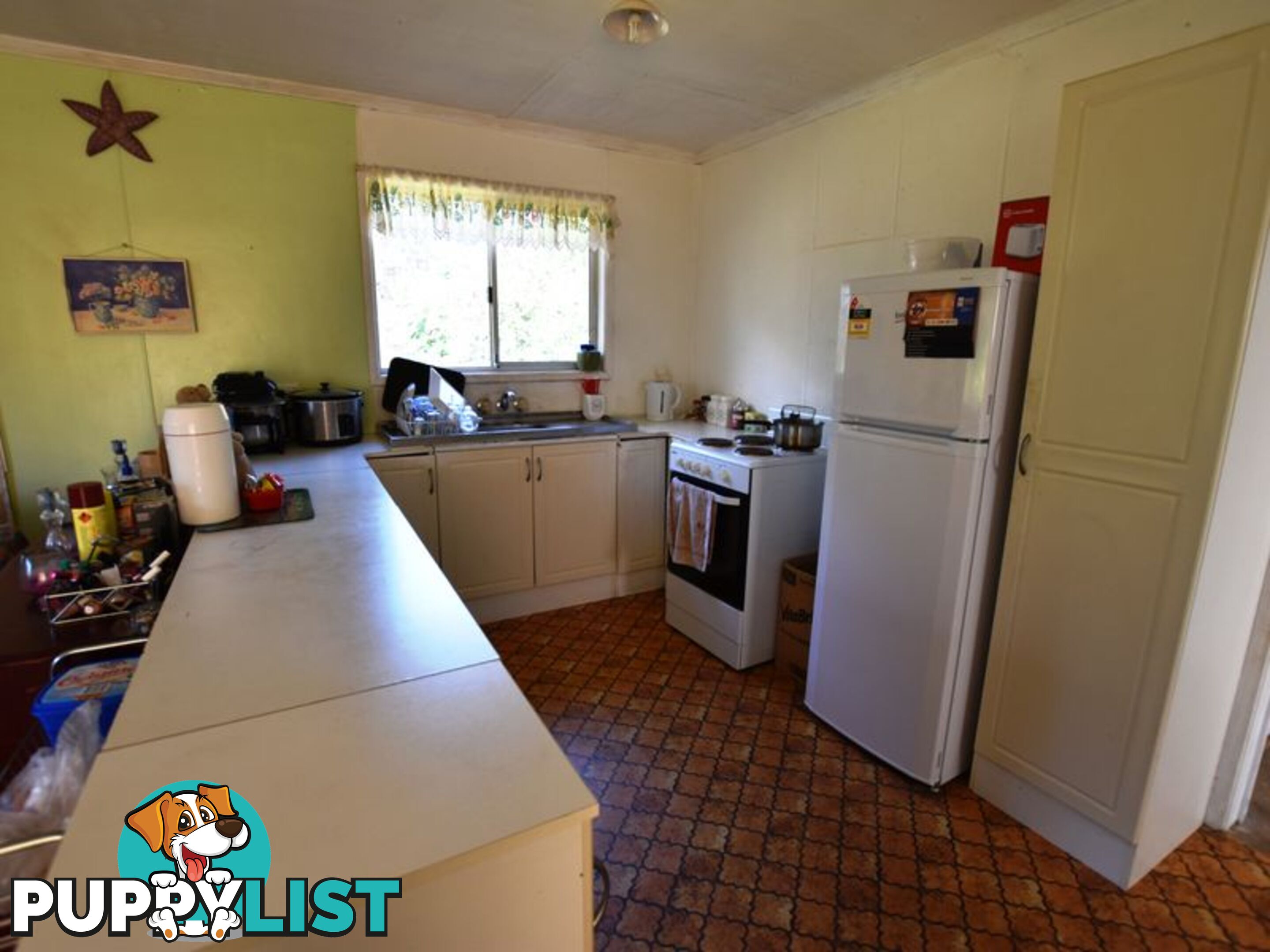 11 Callistemon RUSSELL ISLAND QLD 4184