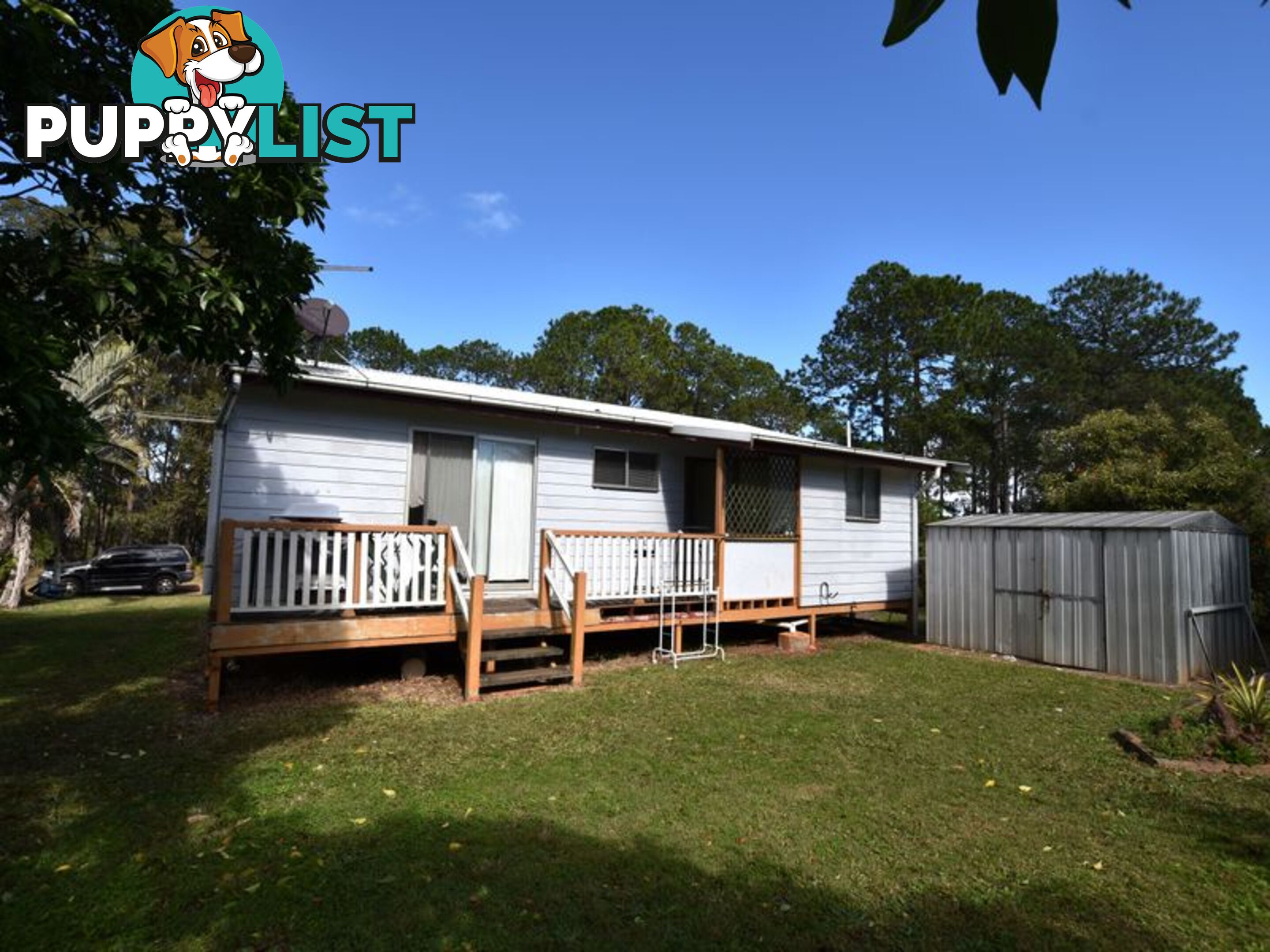 11 Callistemon RUSSELL ISLAND QLD 4184