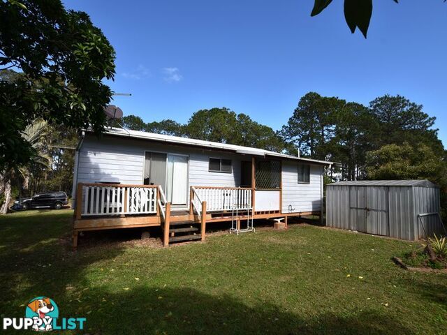 11 Callistemon RUSSELL ISLAND QLD 4184