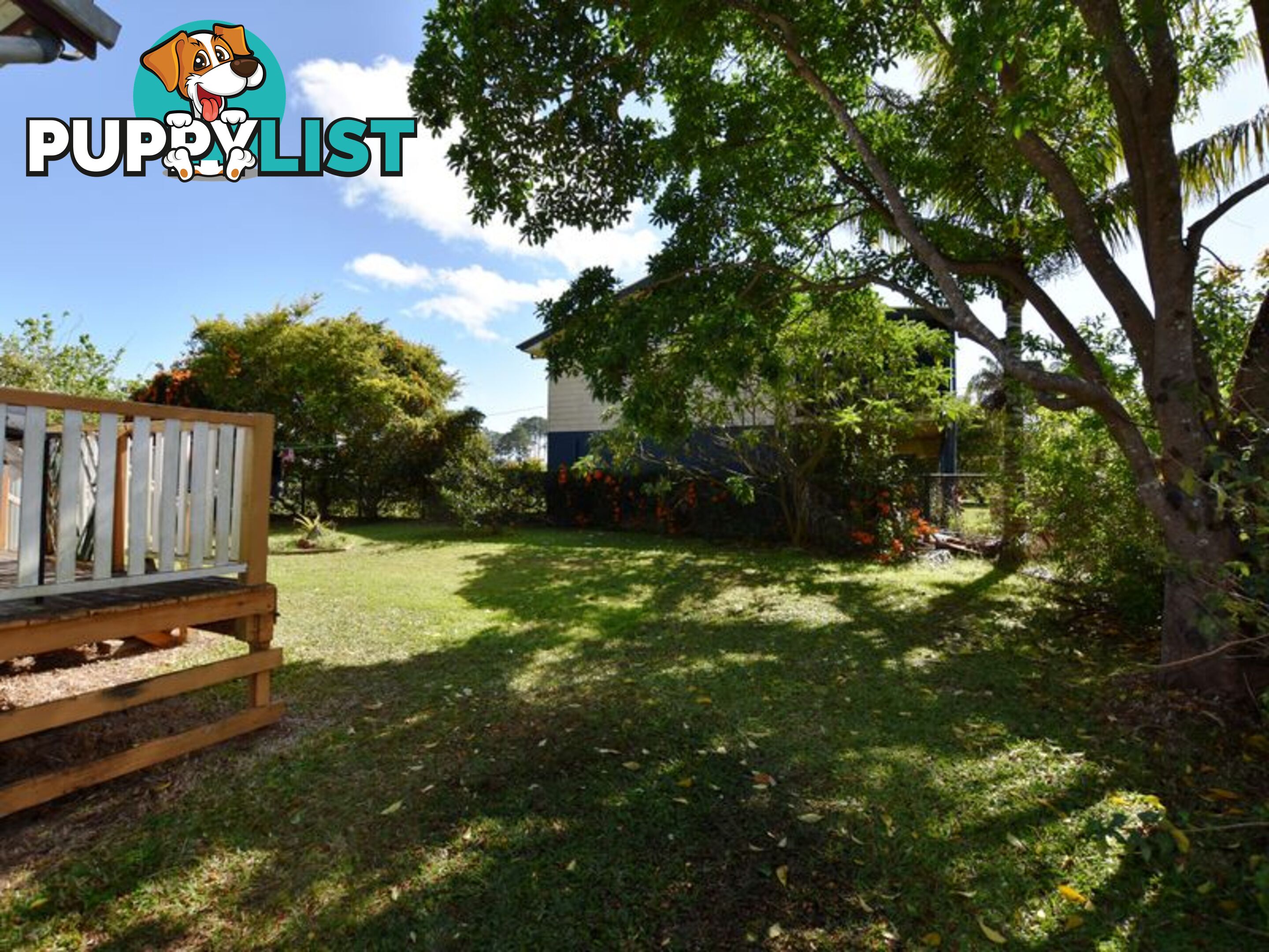 11 Callistemon RUSSELL ISLAND QLD 4184