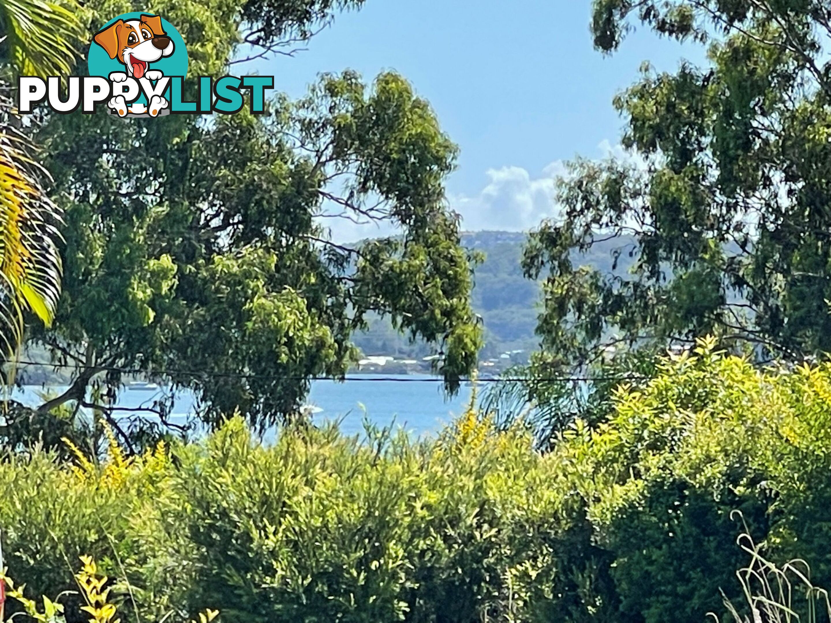 8 Jasper Street RUSSELL ISLAND QLD 4184