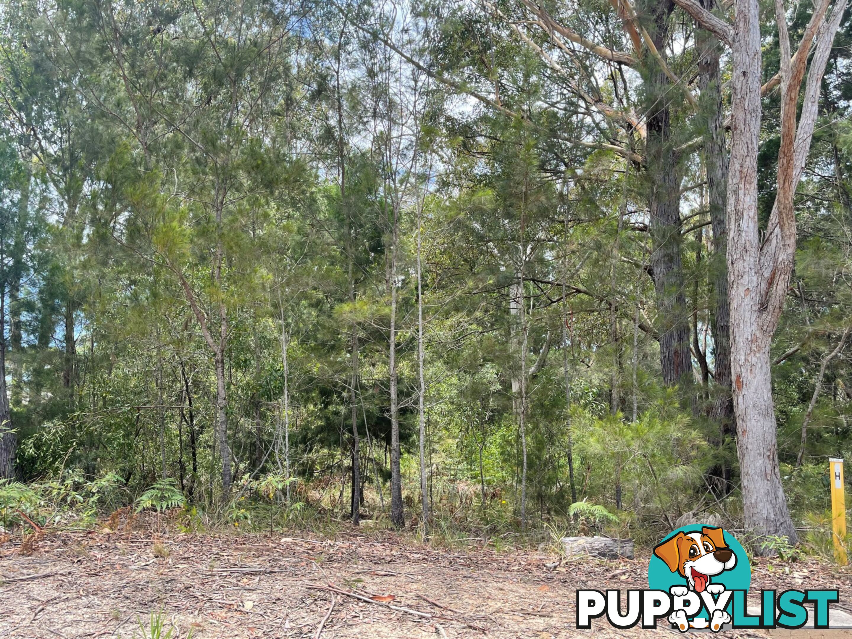 3 Catamaran Street RUSSELL ISLAND QLD 4184