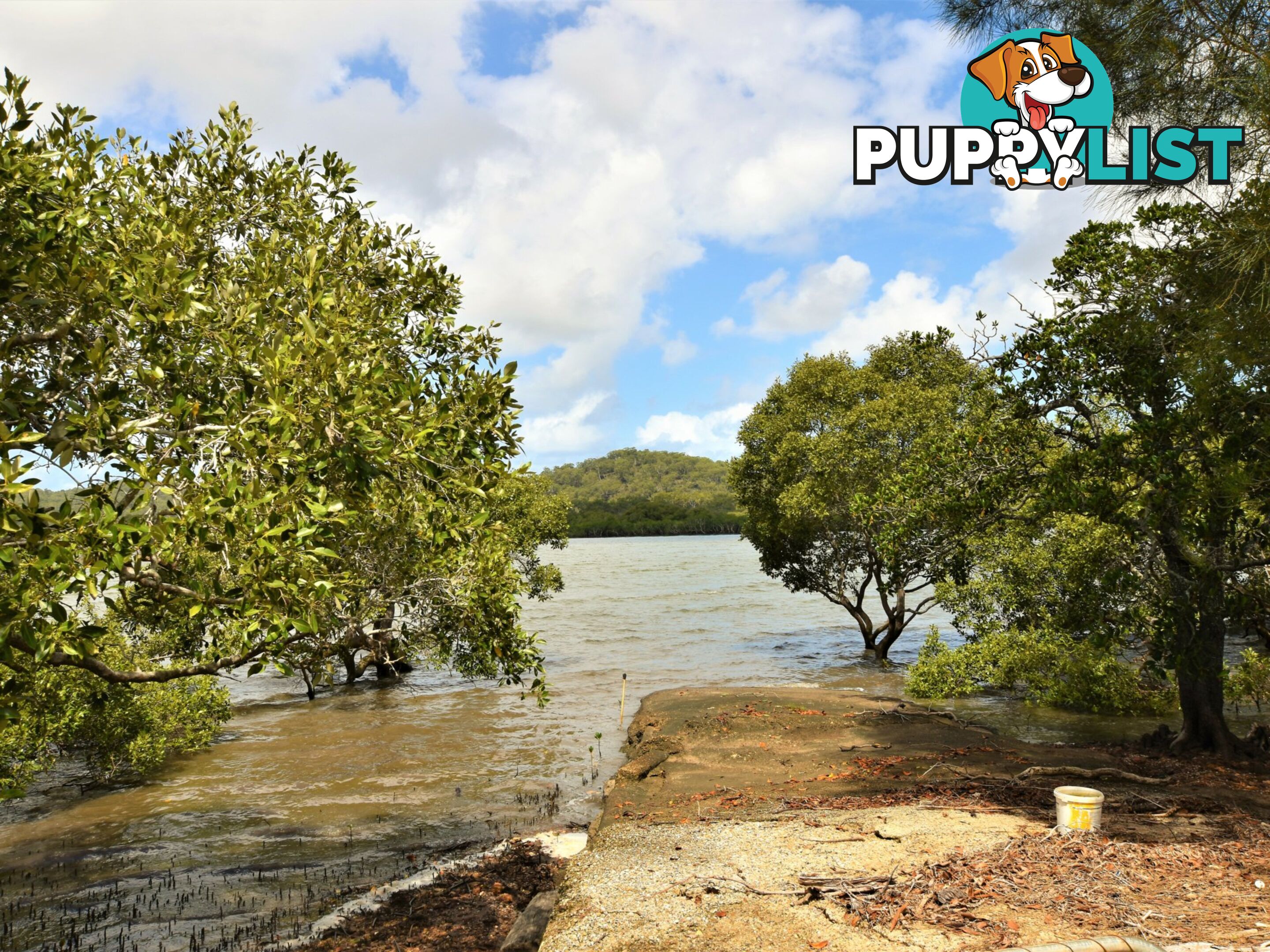 80-82 Oasis Dve RUSSELL ISLAND QLD 4184