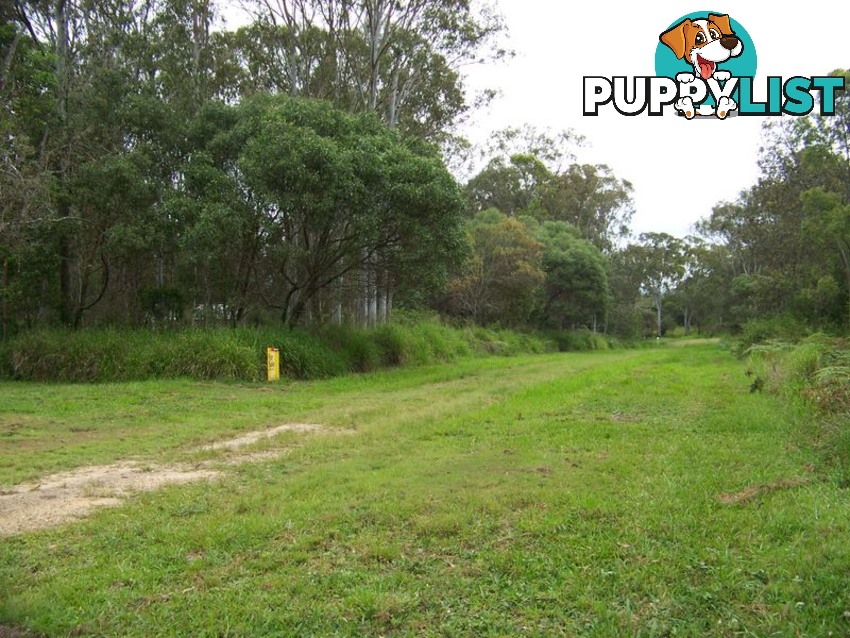 RUSSELL ISLAND QLD 4184