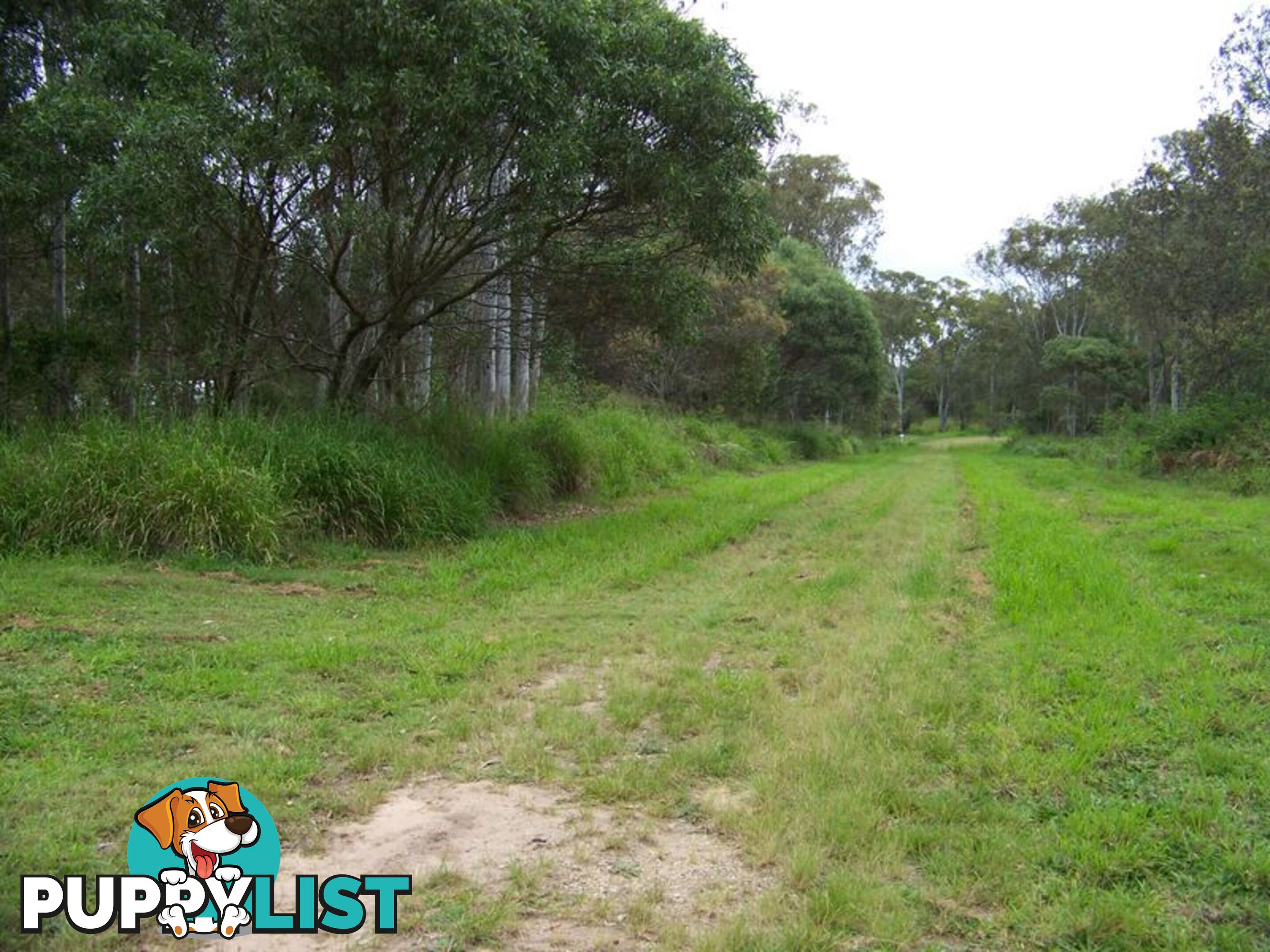RUSSELL ISLAND QLD 4184