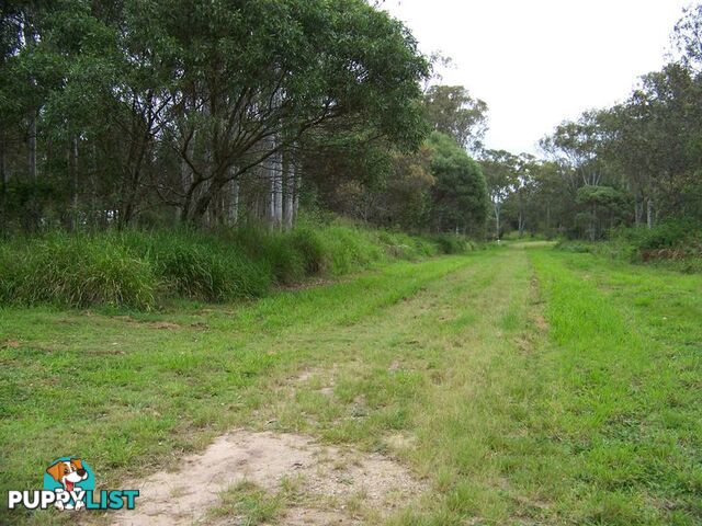 RUSSELL ISLAND QLD 4184