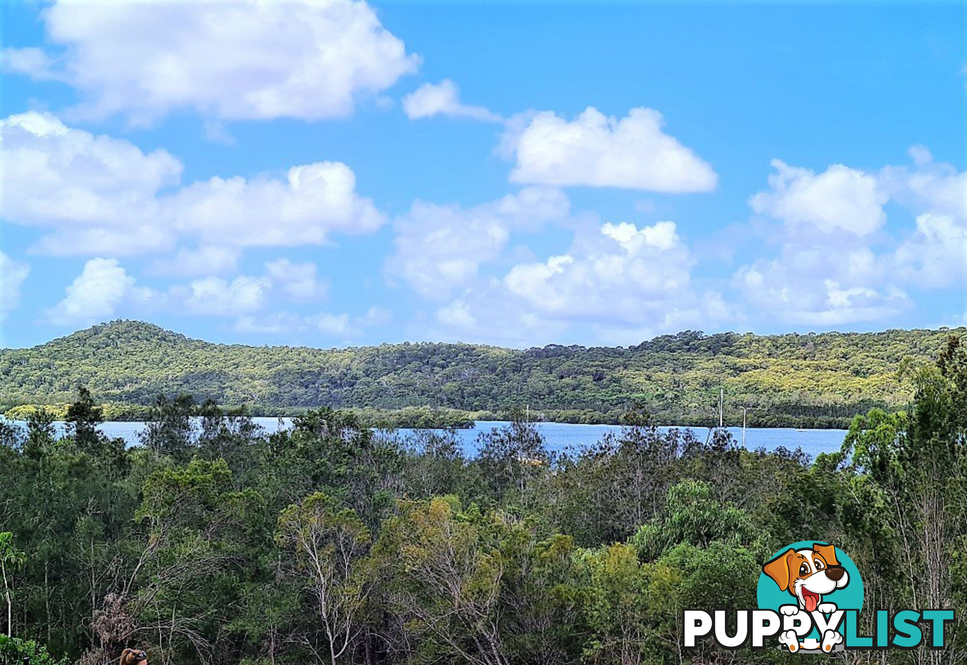 23 Highland Ridge Road RUSSELL ISLAND QLD 4184