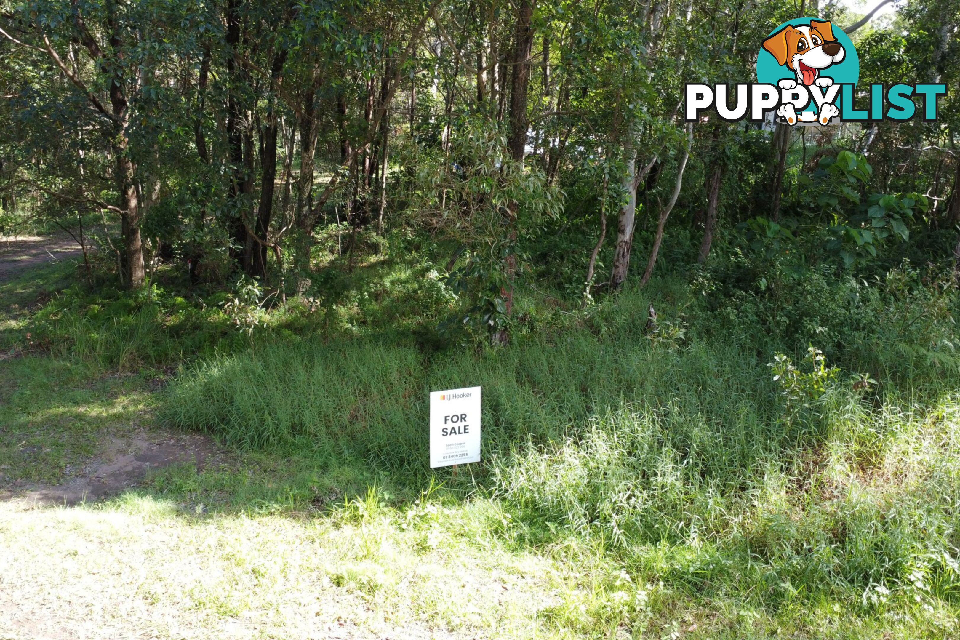 6 Victoria Avenue RUSSELL ISLAND QLD 4184