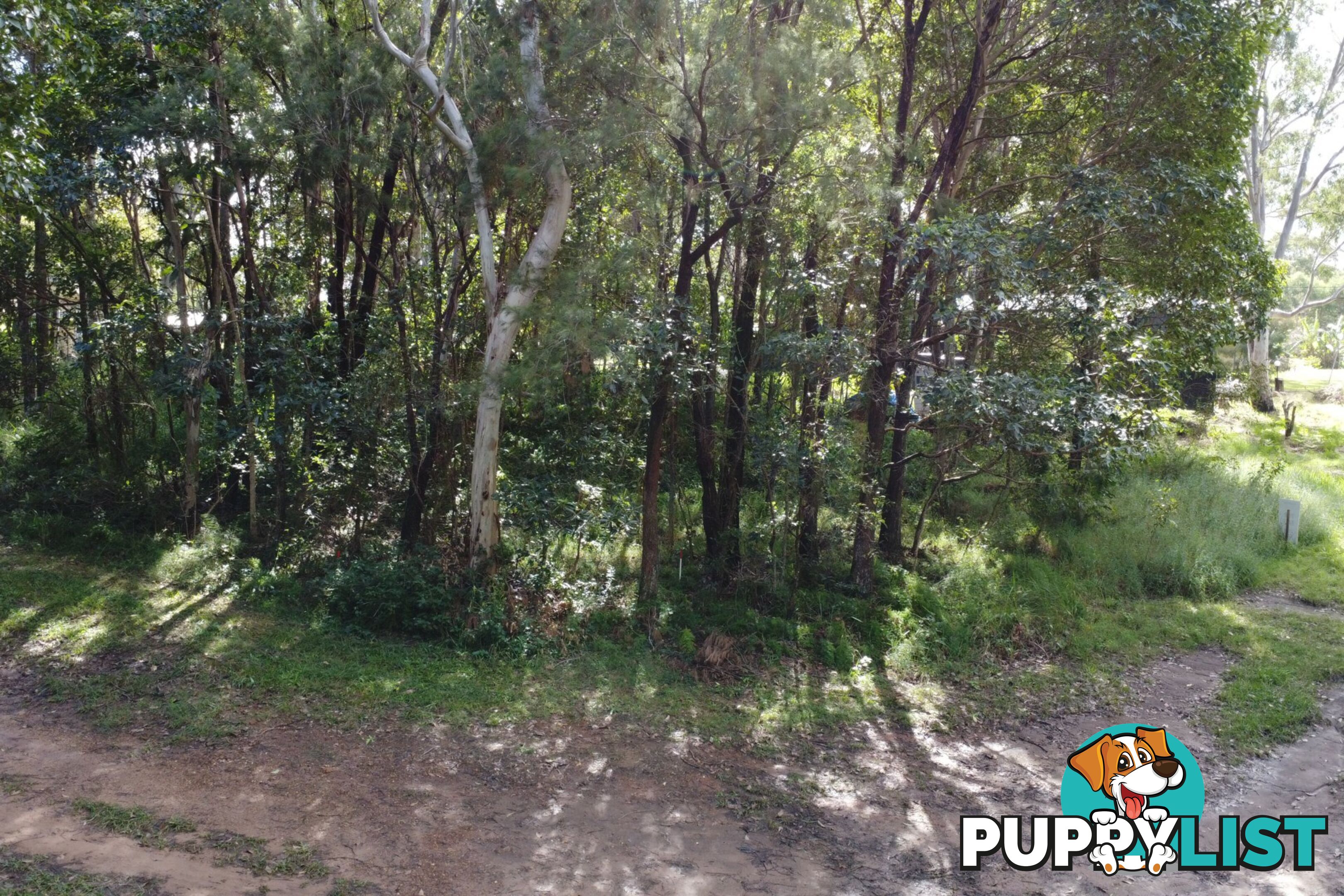 6 Victoria Avenue RUSSELL ISLAND QLD 4184