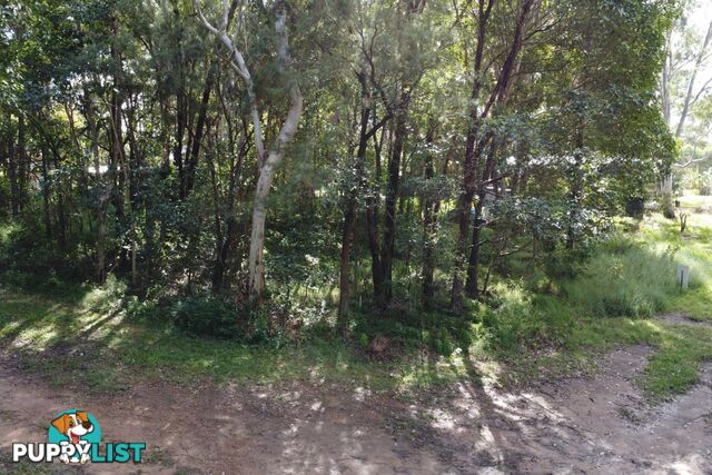 6 Victoria Avenue RUSSELL ISLAND QLD 4184