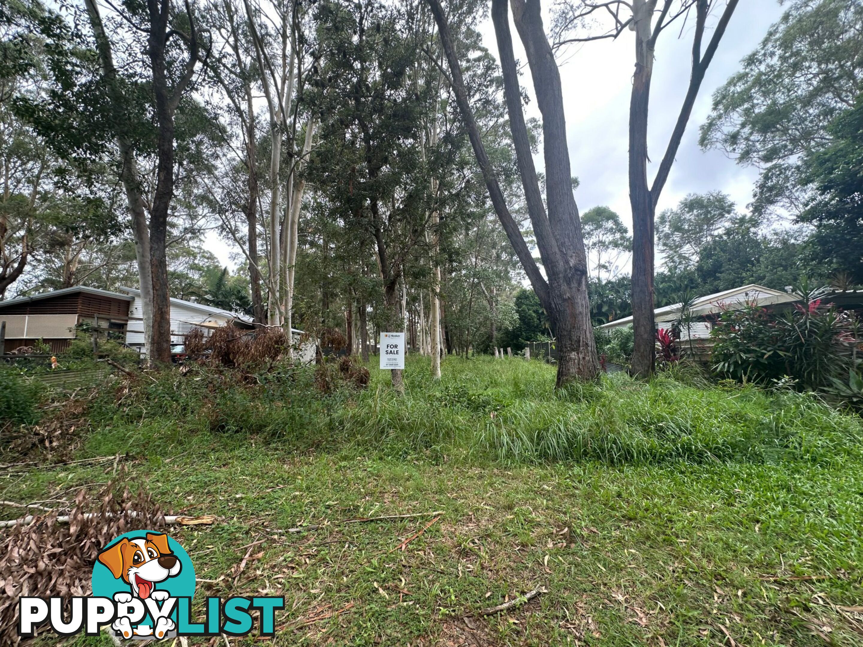 25 Toolona Avenue RUSSELL ISLAND QLD 4184