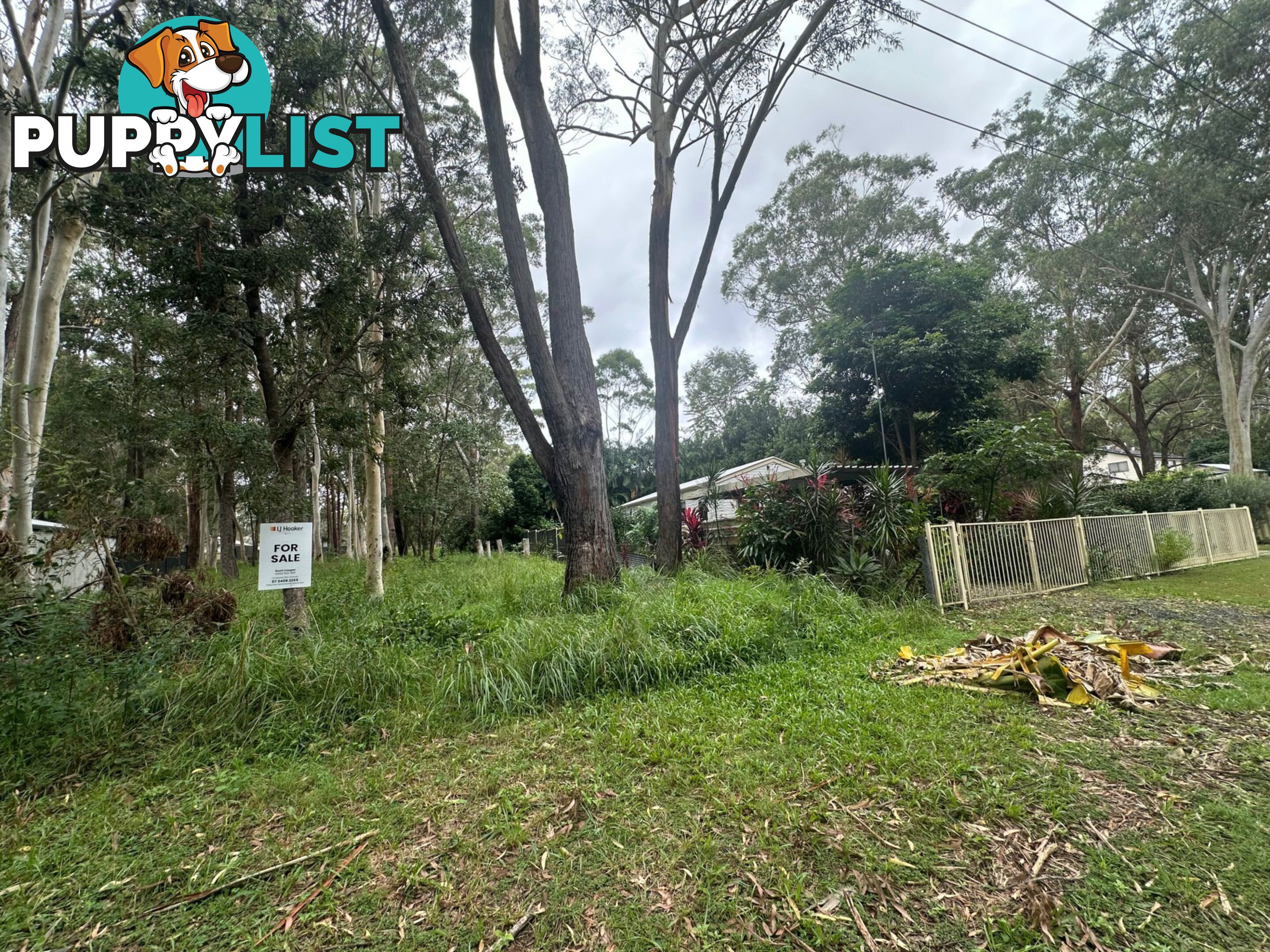 25 Toolona Avenue RUSSELL ISLAND QLD 4184