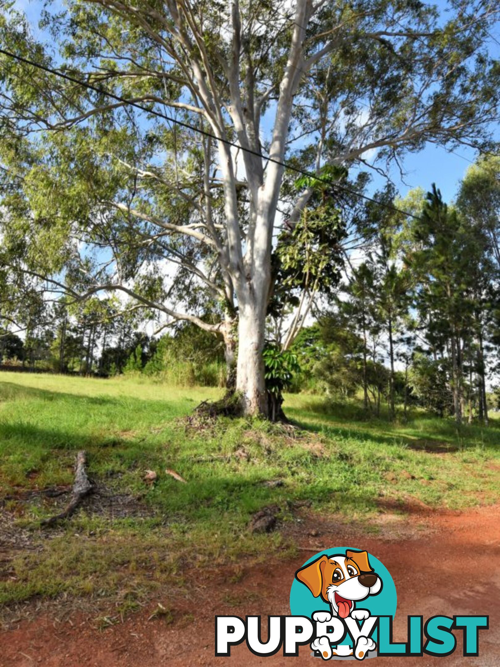 5 Fiji Street RUSSELL ISLAND QLD 4184