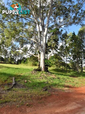 5 Fiji Street RUSSELL ISLAND QLD 4184