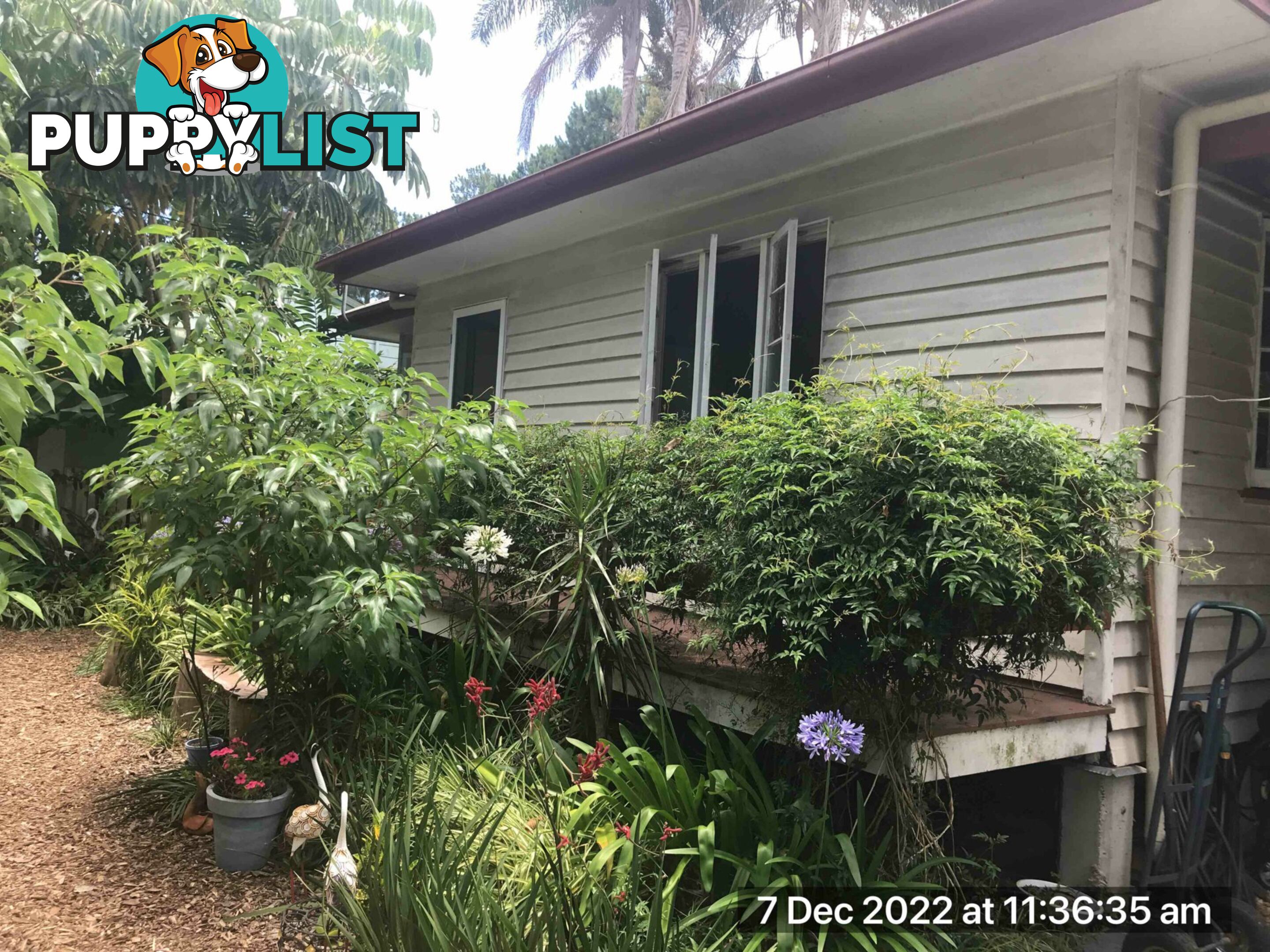 30 Kevin Street MACLEAY ISLAND QLD 4184