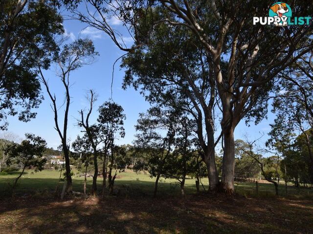 16 Alstonia RUSSELL ISLAND QLD 4184