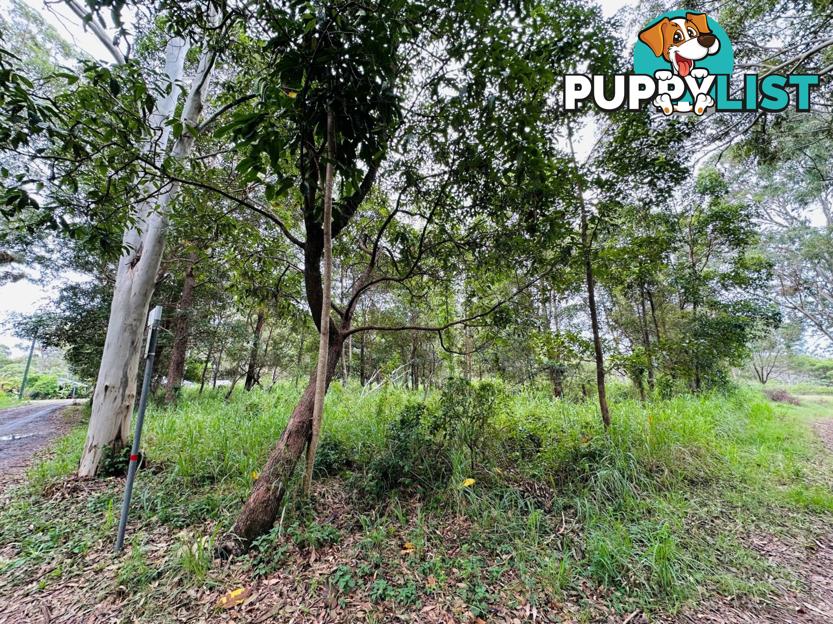 6 Arnold Street RUSSELL ISLAND QLD 4184