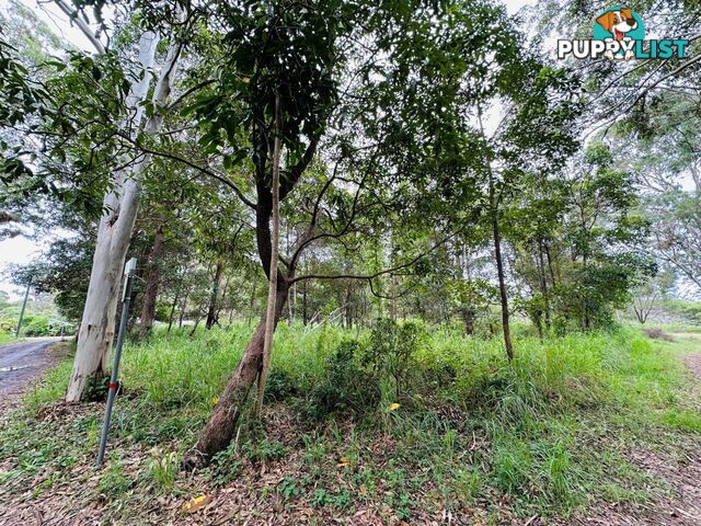 6 Arnold Street RUSSELL ISLAND QLD 4184