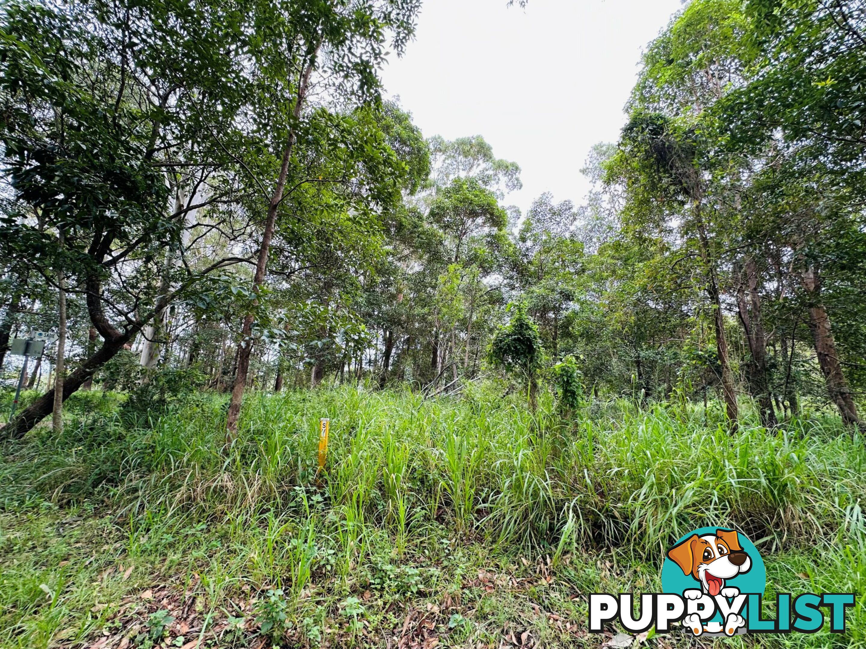 6 Arnold Street RUSSELL ISLAND QLD 4184
