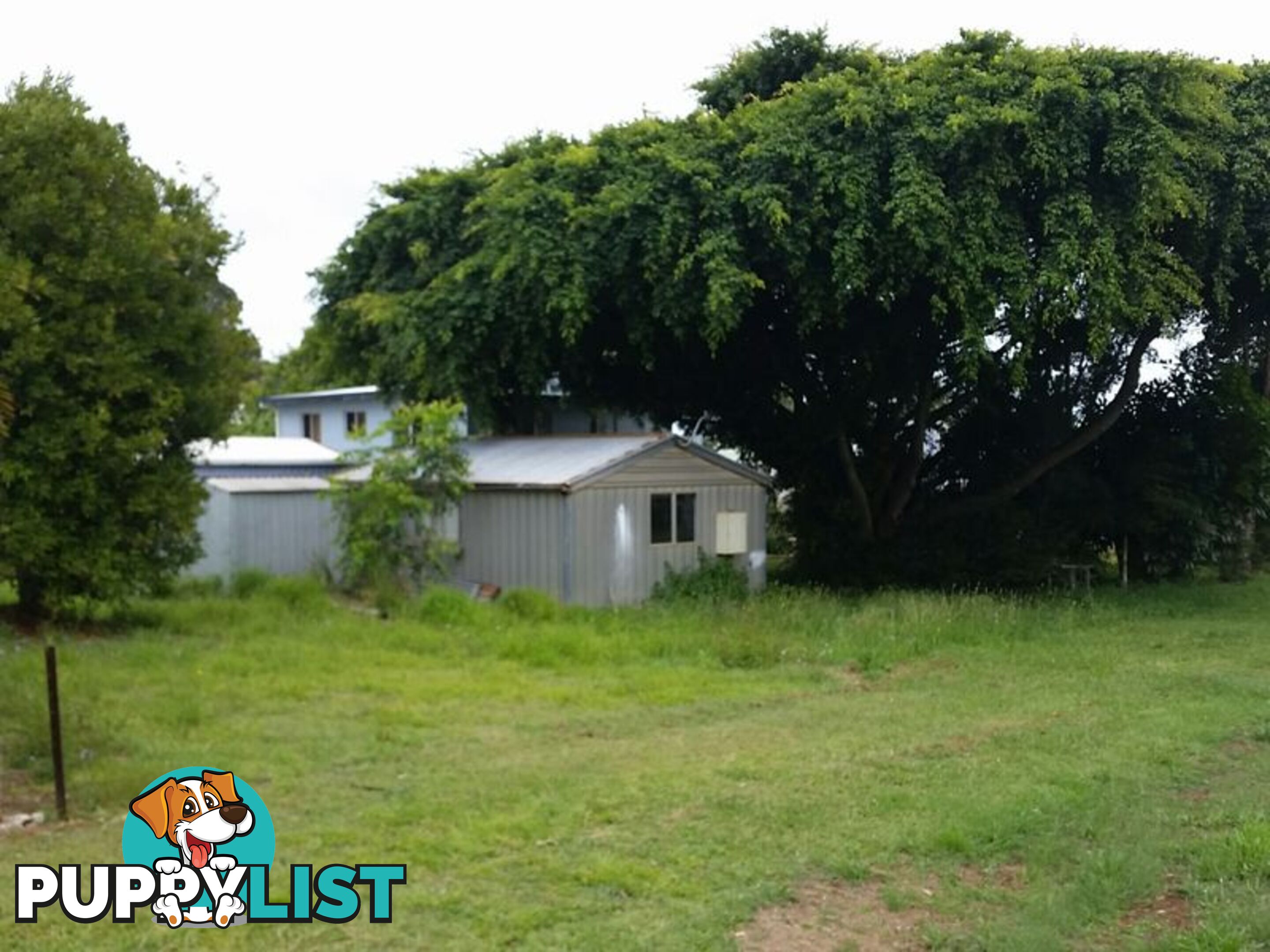 64 Bay Drive RUSSELL ISLAND QLD 4184