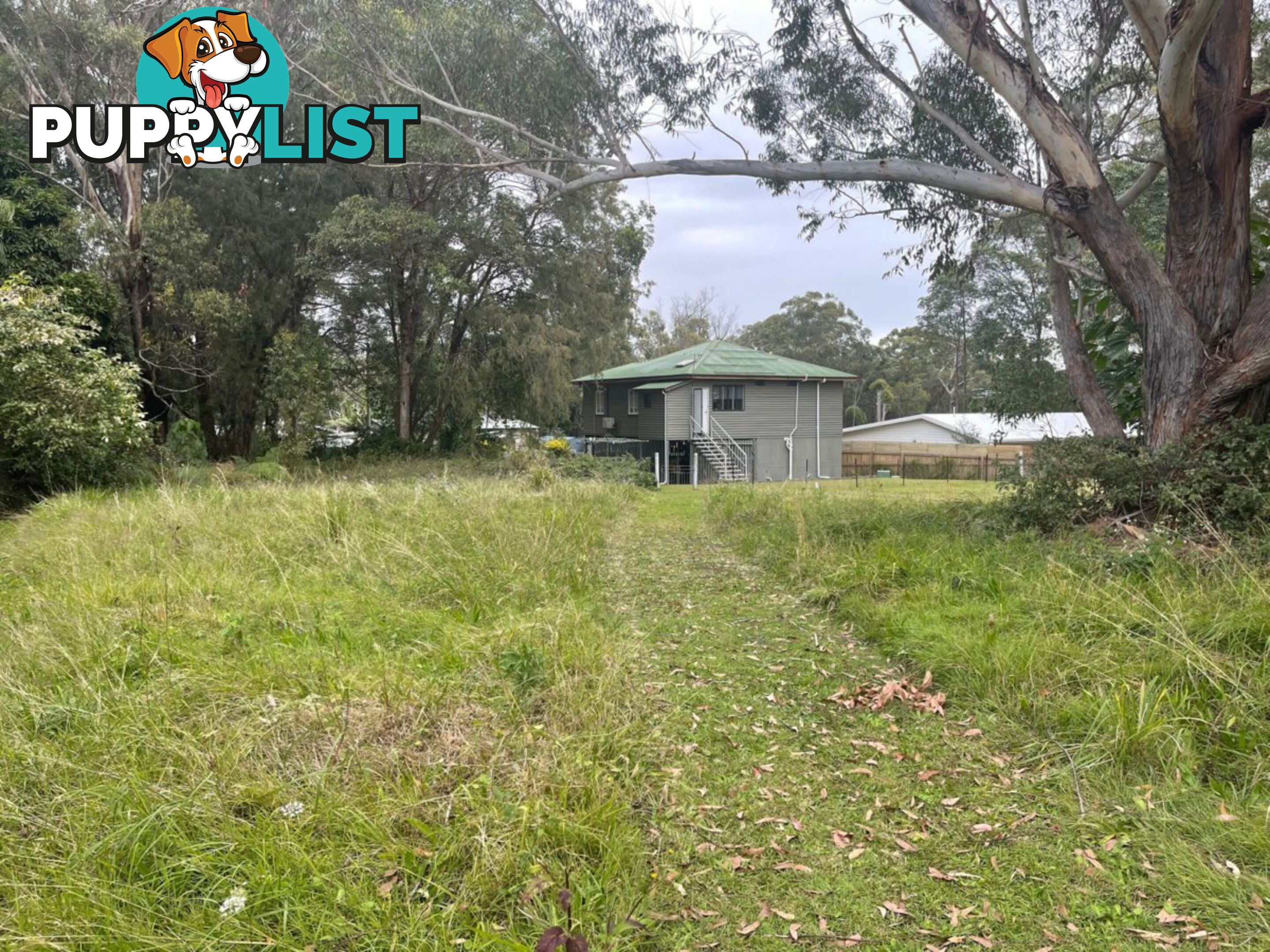 16 TAYLOR STREET RUSSELL ISLAND QLD 4184