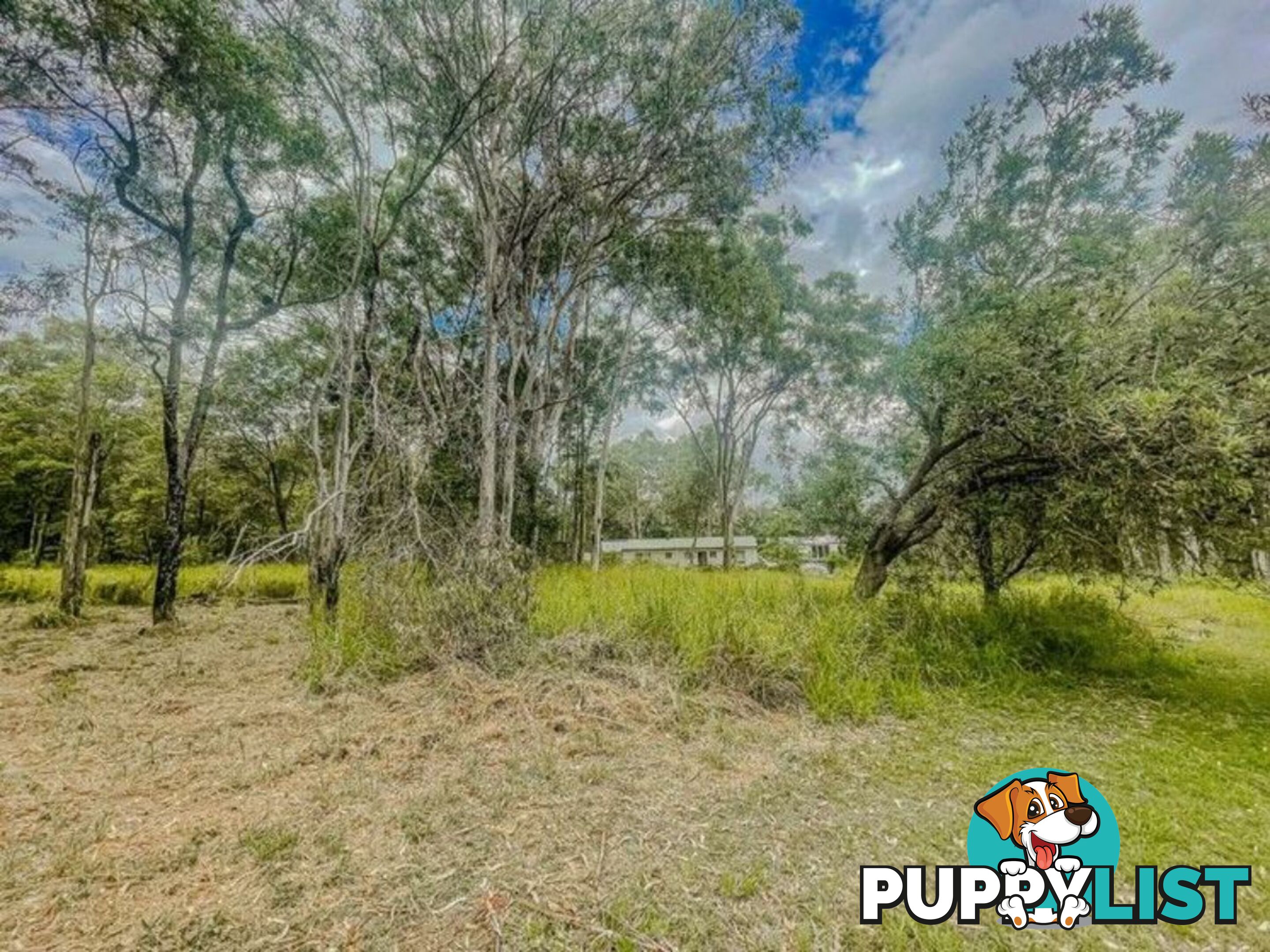 6 Kari RUSSELL ISLAND QLD 4184
