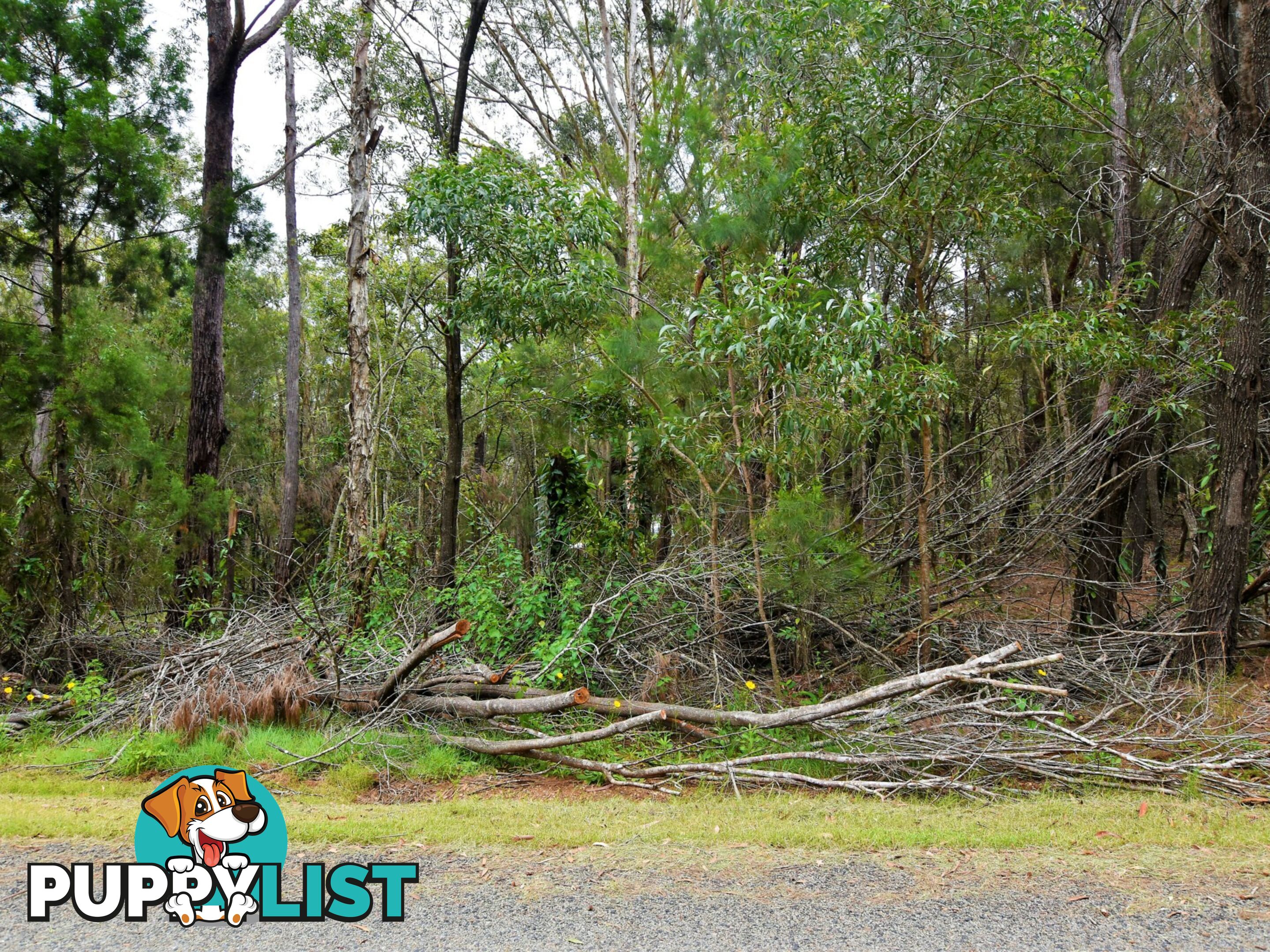 54 Highland Ridge Road RUSSELL ISLAND QLD 4184