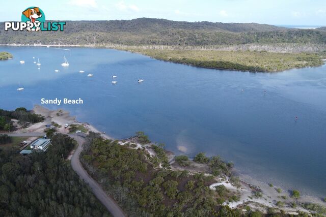 62 Lagoon Road RUSSELL ISLAND QLD 4184