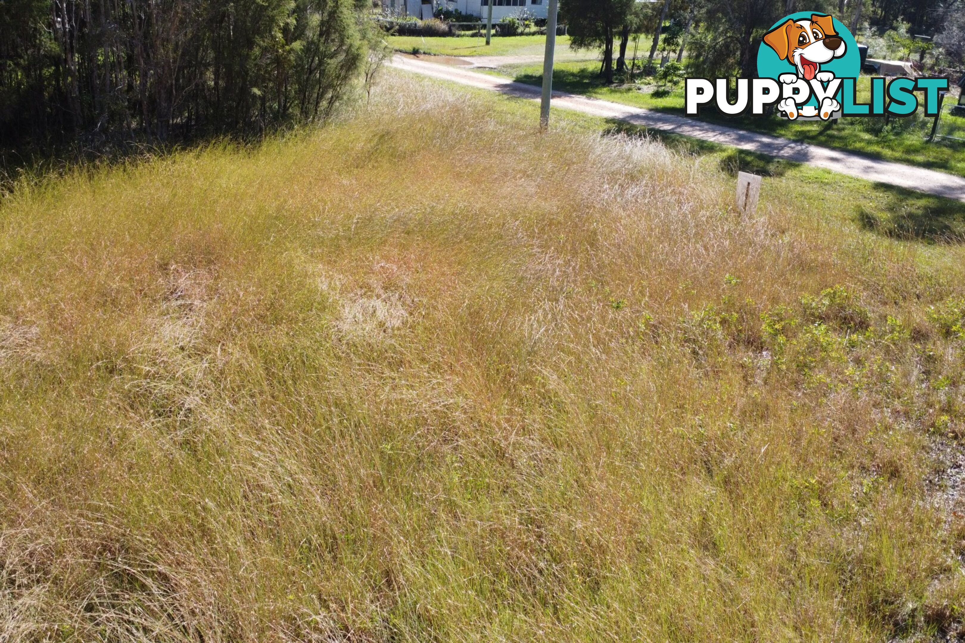 62 Lagoon Road RUSSELL ISLAND QLD 4184
