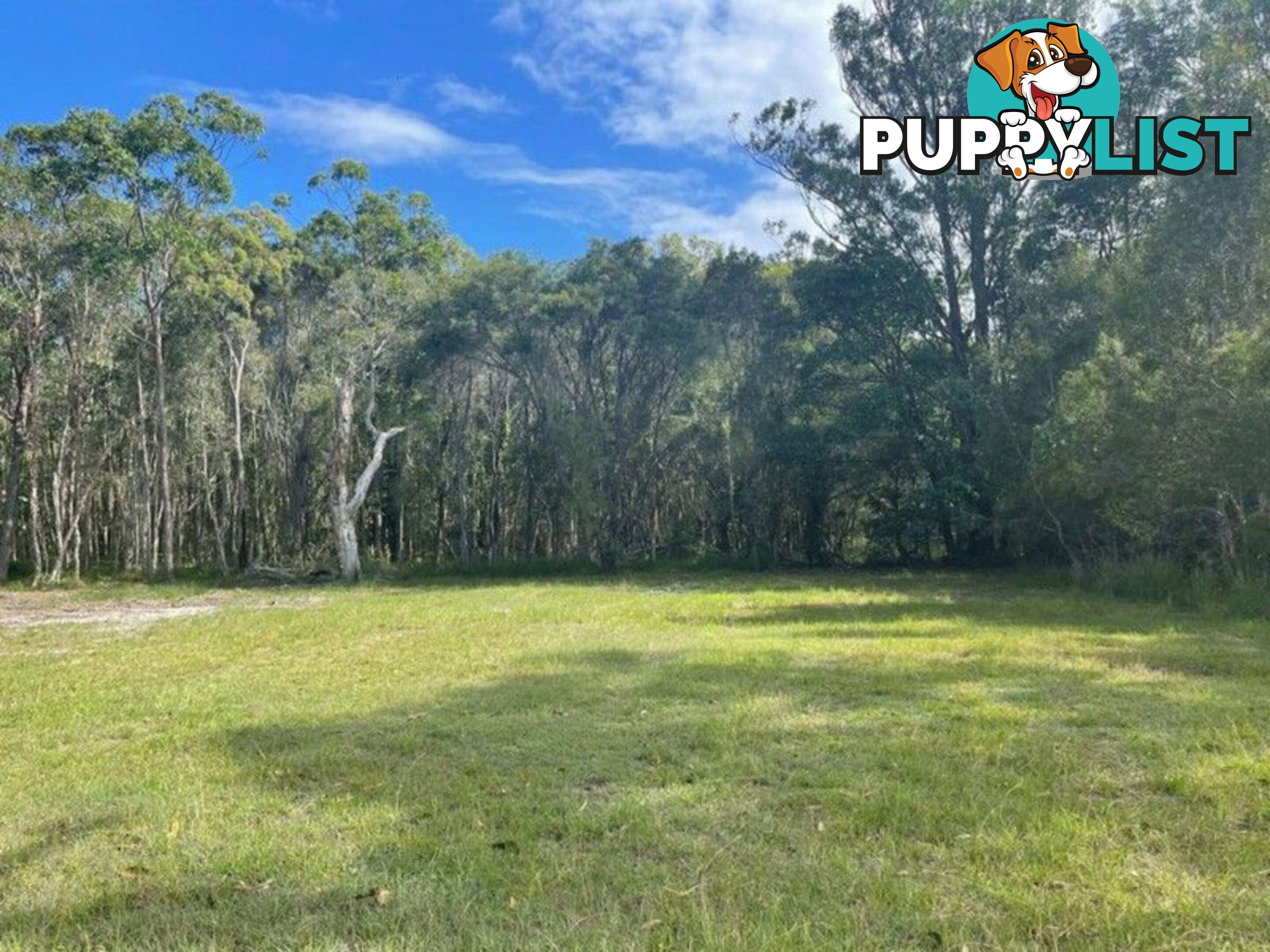 62 Lagoon Road RUSSELL ISLAND QLD 4184