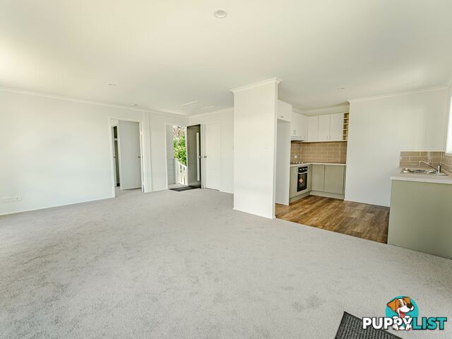84 Canaipa Point Drive RUSSELL ISLAND QLD 4184